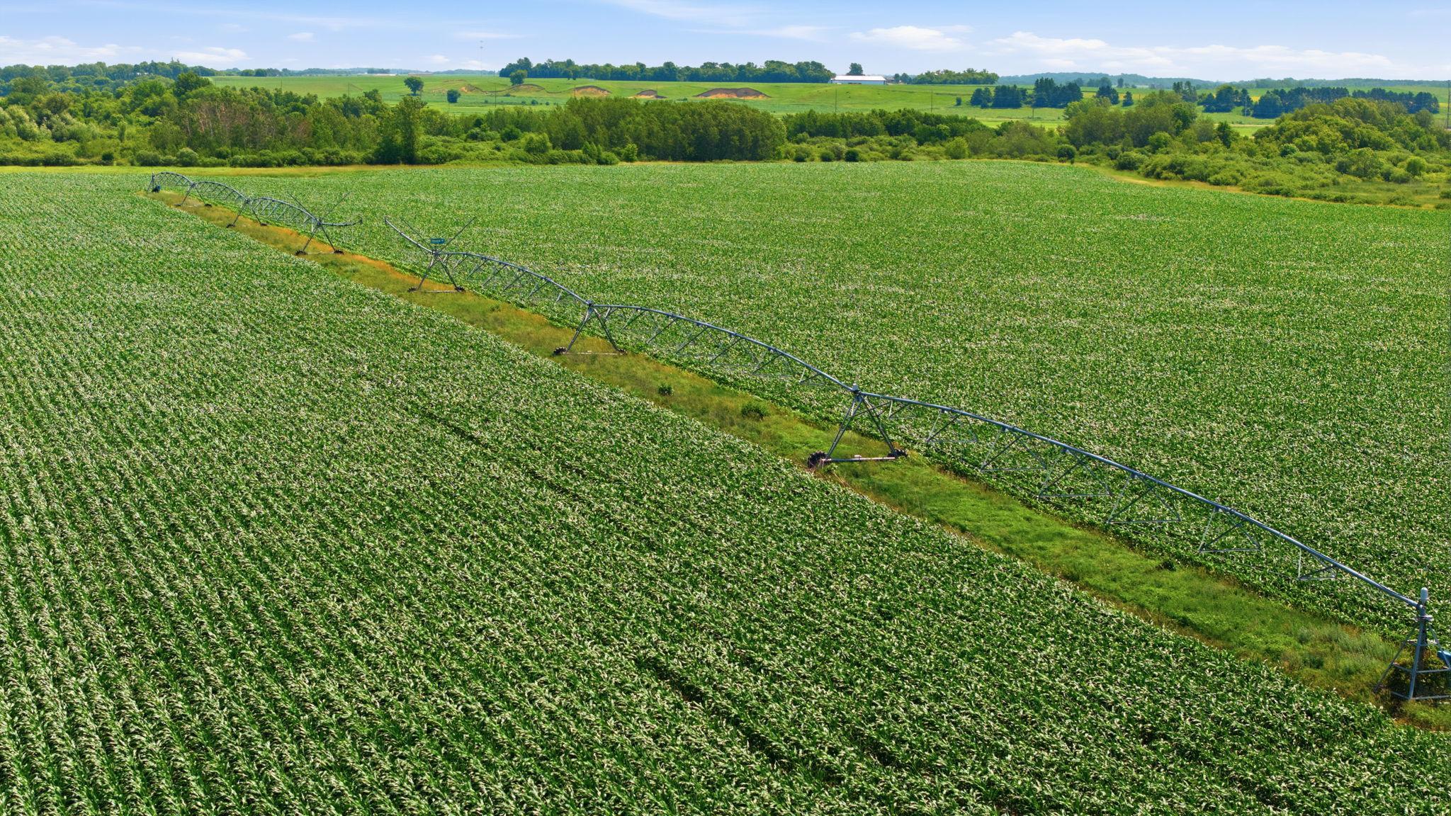 View of Farm at 21372 273rd Ave, Paynesville MN 56362, Paynesville (120 of 272) - Mike Wilen | Minnesota Team Real Estate