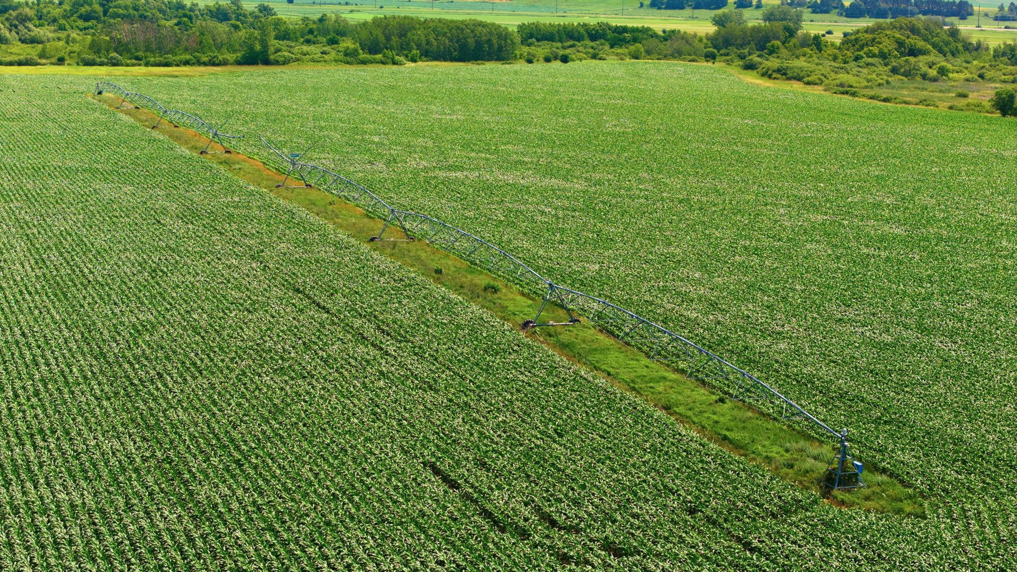 View of Farm at 21372 273rd Ave, Paynesville MN 56362, Paynesville (117 of 272) - Mike Wilen | Minnesota Team Real Estate