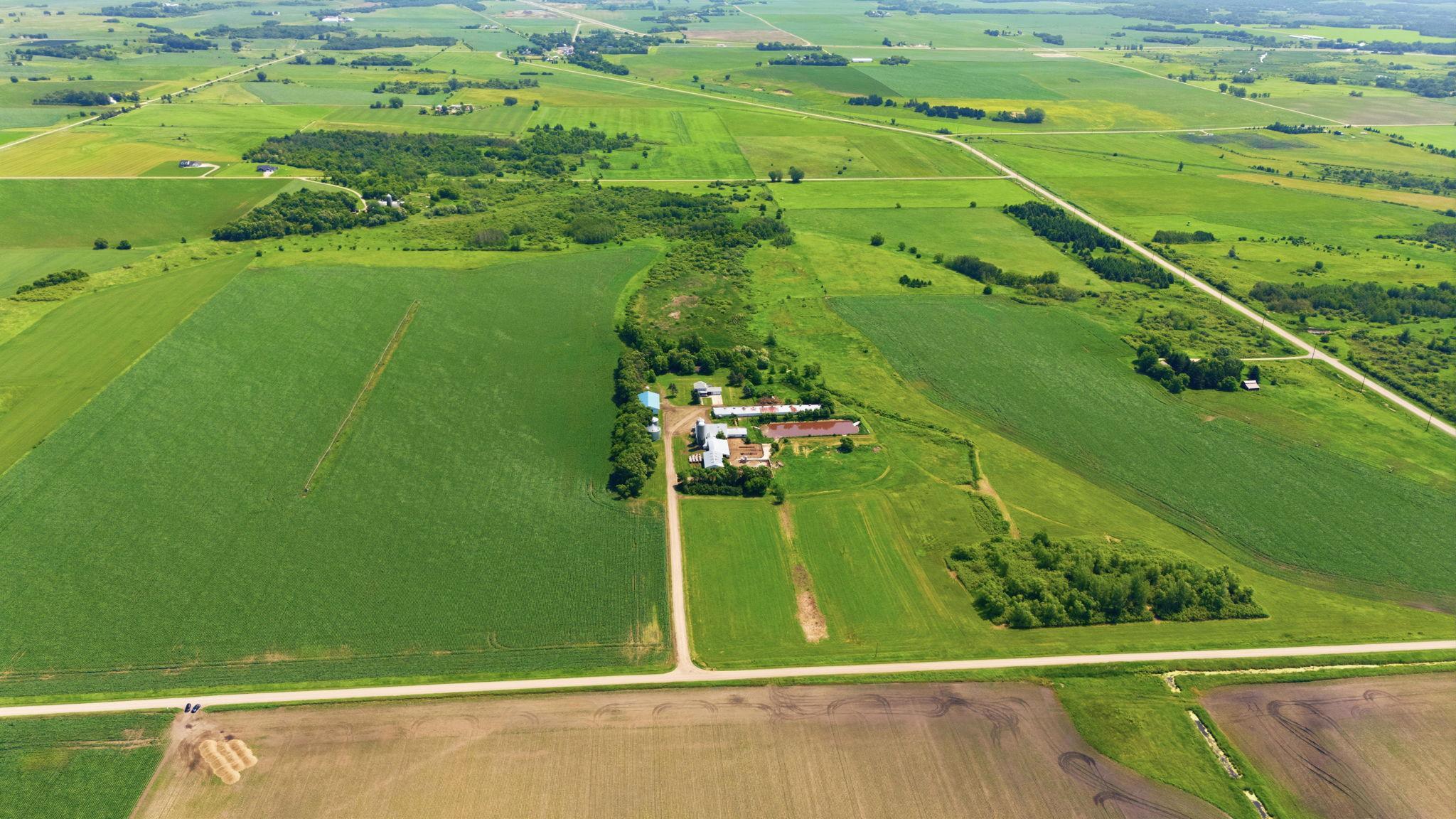View of Farm at 21372 273rd Ave, Paynesville MN 56362, Paynesville (108 of 272) - Mike Wilen | Minnesota Team Real Estate
