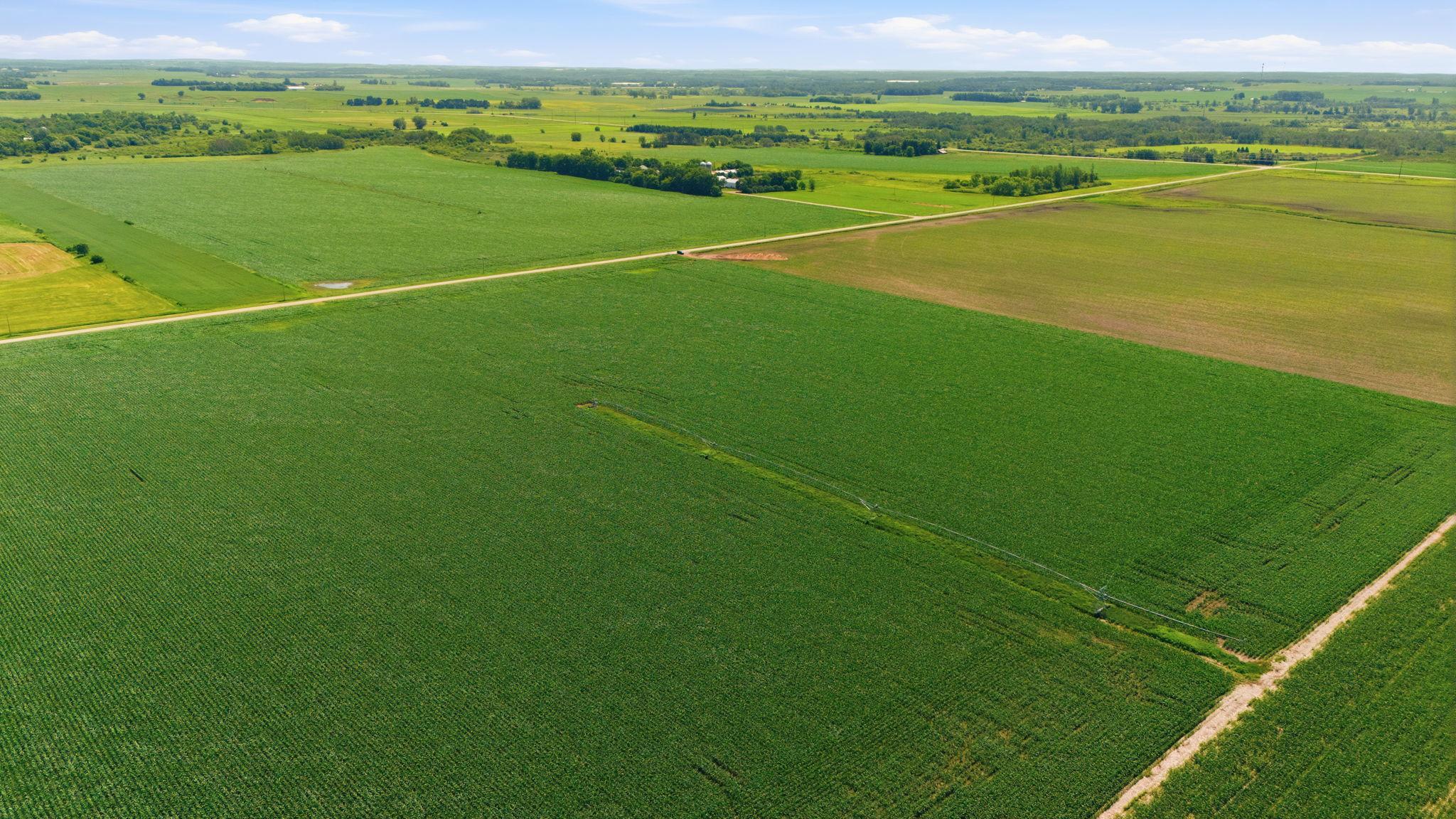 View of Farm at 21372 273rd Ave, Paynesville MN 56362, Paynesville (99 of 272) - Mike Wilen | Minnesota Team Real Estate
