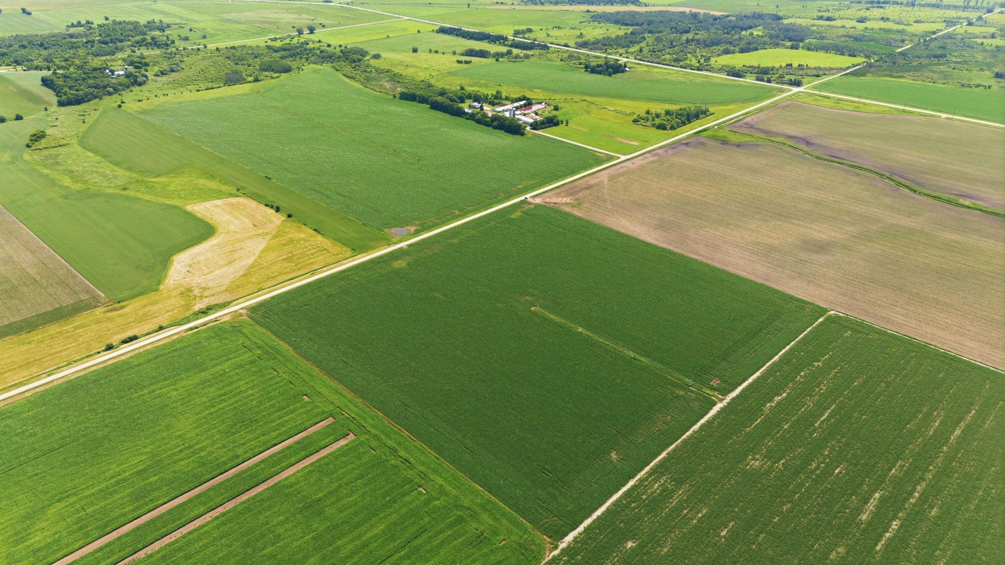 View of Farm at 21372 273rd Ave, Paynesville MN 56362, Paynesville (96 of 272) - Mike Wilen | Minnesota Team Real Estate