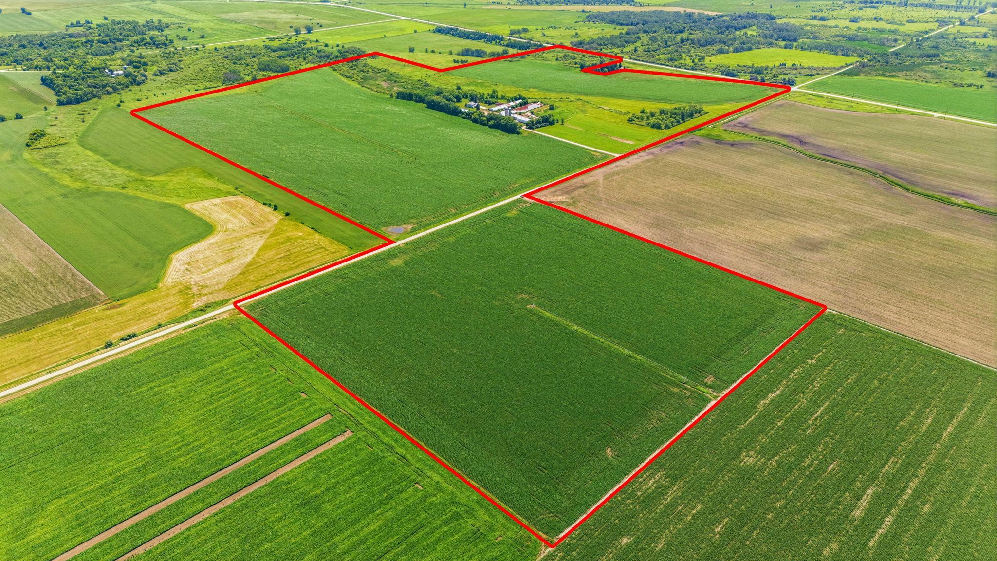 View of Farm at 21372 273rd Ave, Paynesville MN 56362, Paynesville (3 of 272) - Mike Wilen | Minnesota Team Real Estate