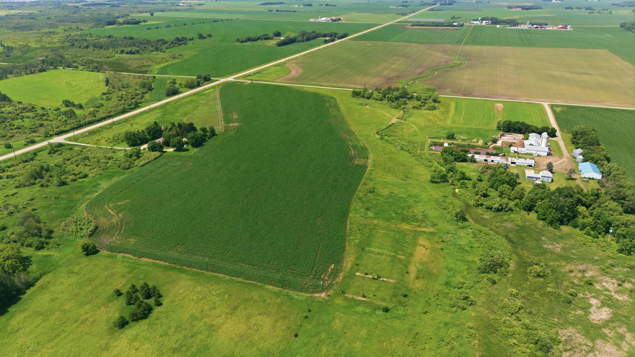 View of Farm at 21372 273rd Ave, Paynesville MN 56362, Paynesville (48 of 272) - Mike Wilen | Minnesota Team Real Estate