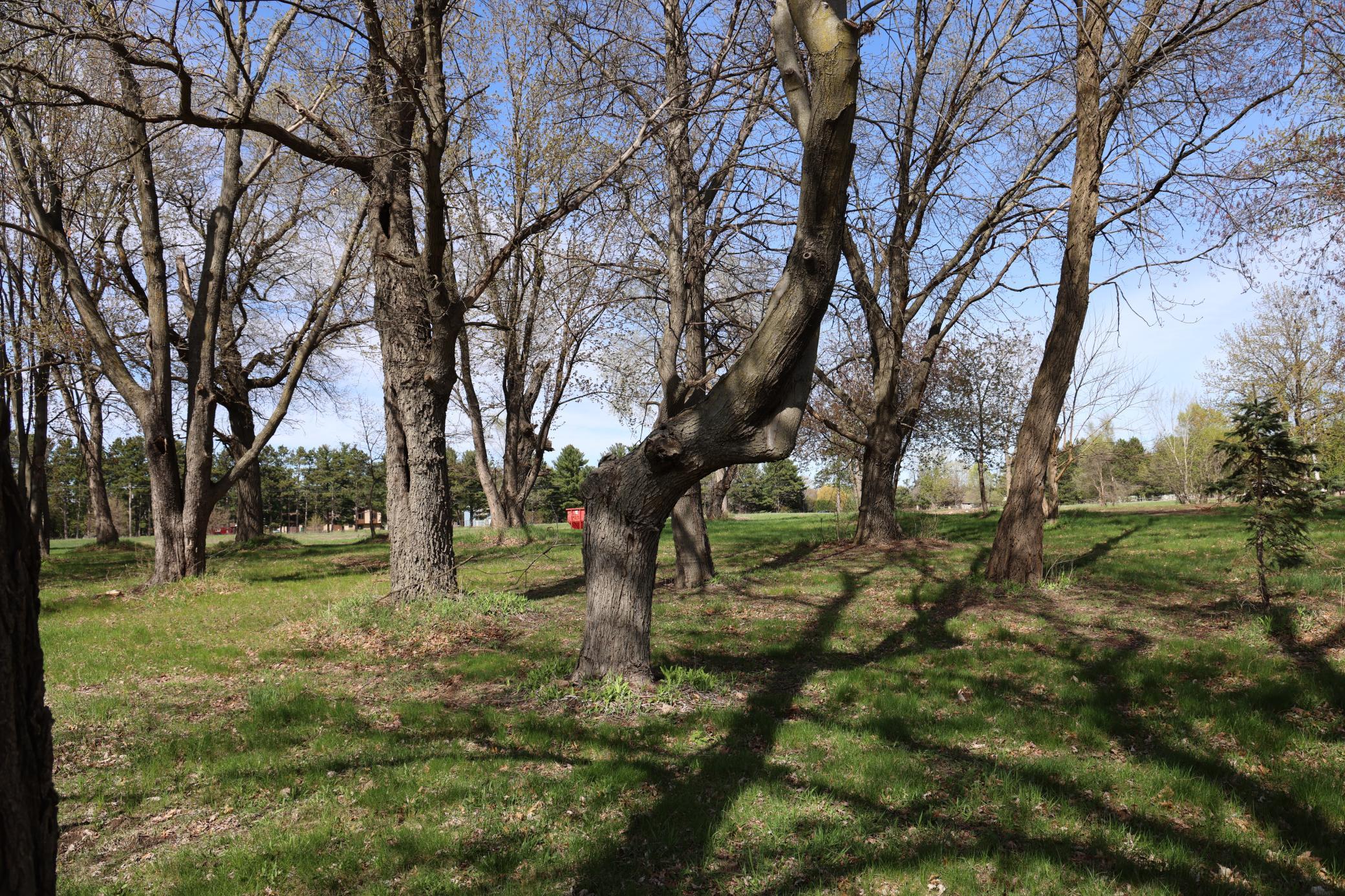 View of Land at 1824x Greenbrook Dr NE, East Bethel MN 55092, East Bethel (5 of 33) - Mike Wilen | Minnesota Team Real Estate