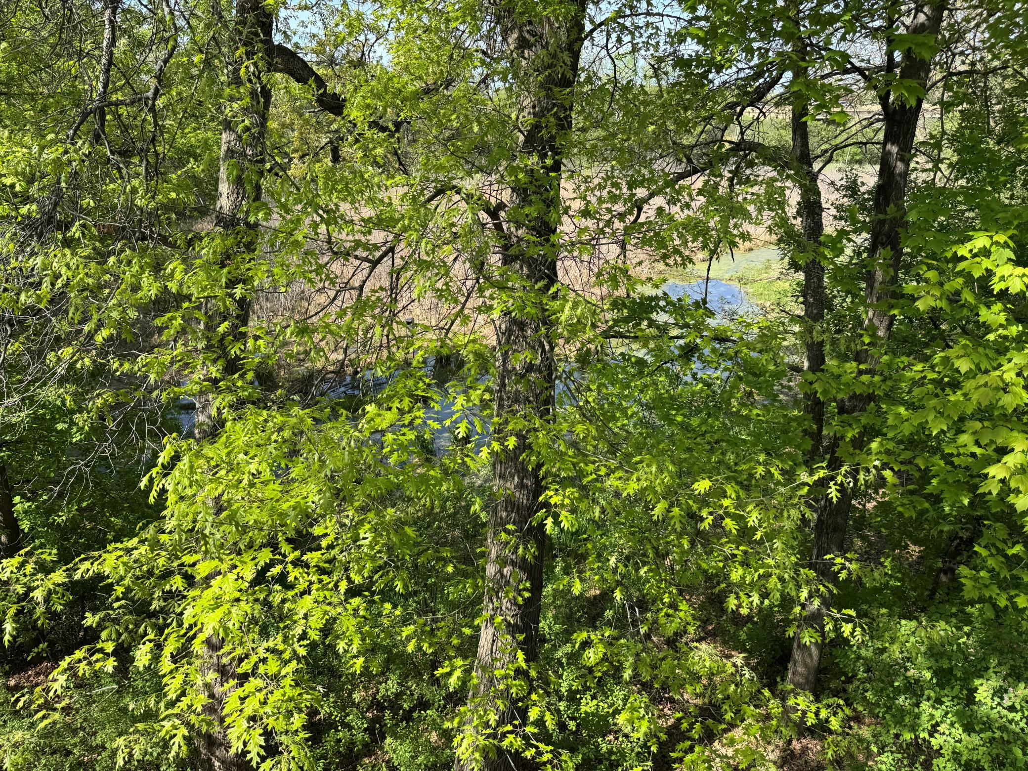 View of Residential at 5542 Rowland Road, Hopkins MN 55343, Hopkins (40 of 43) - Mike Wilen | Minnesota Team Real Estate