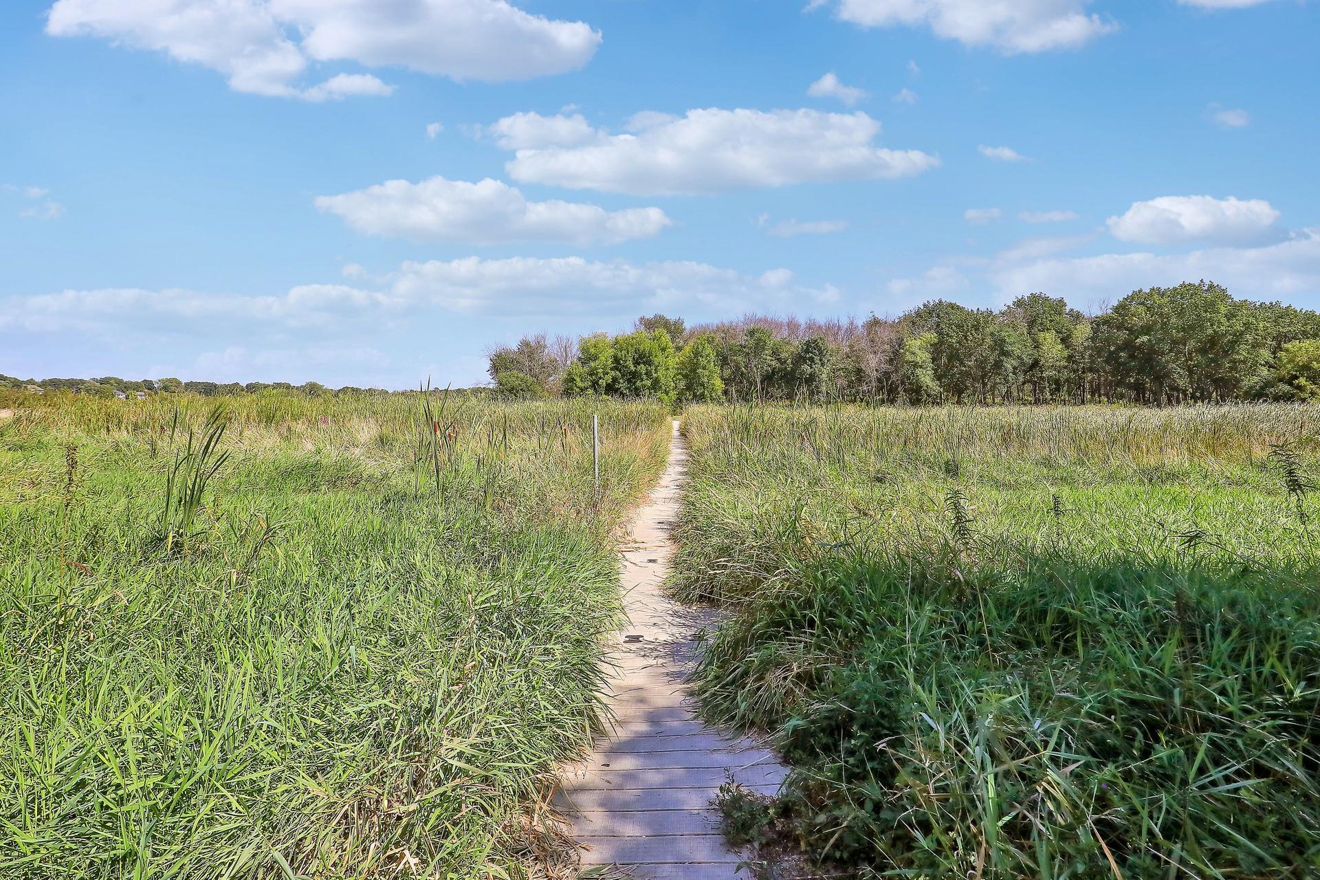 View of Residential at 4430 Bluebell Trail, Medina MN 55340, Medina (95 of 100) - Mike Wilen | Minnesota Team Real Estate