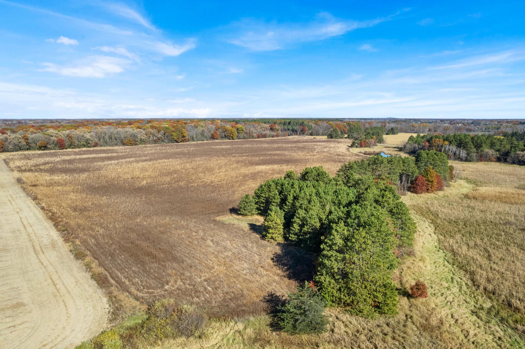 View of Residential at Lot 1 175th Avenue, Becker MN 55308, Becker (42 of 43) - Mike Wilen | Minnesota Team Real Estate