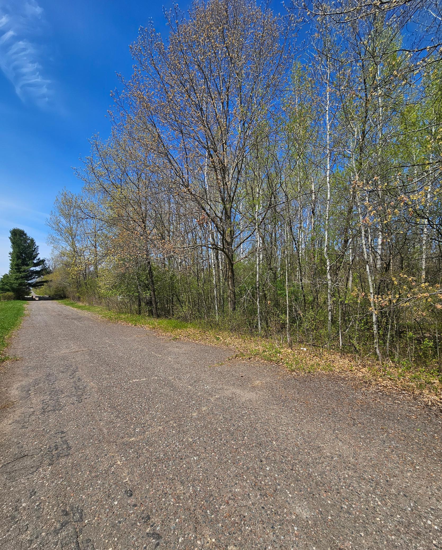 View of Land at 1336X Golden Road, Milaca MN 56353, Milaca - Mike Wilen | Minnesota Team Real Estate