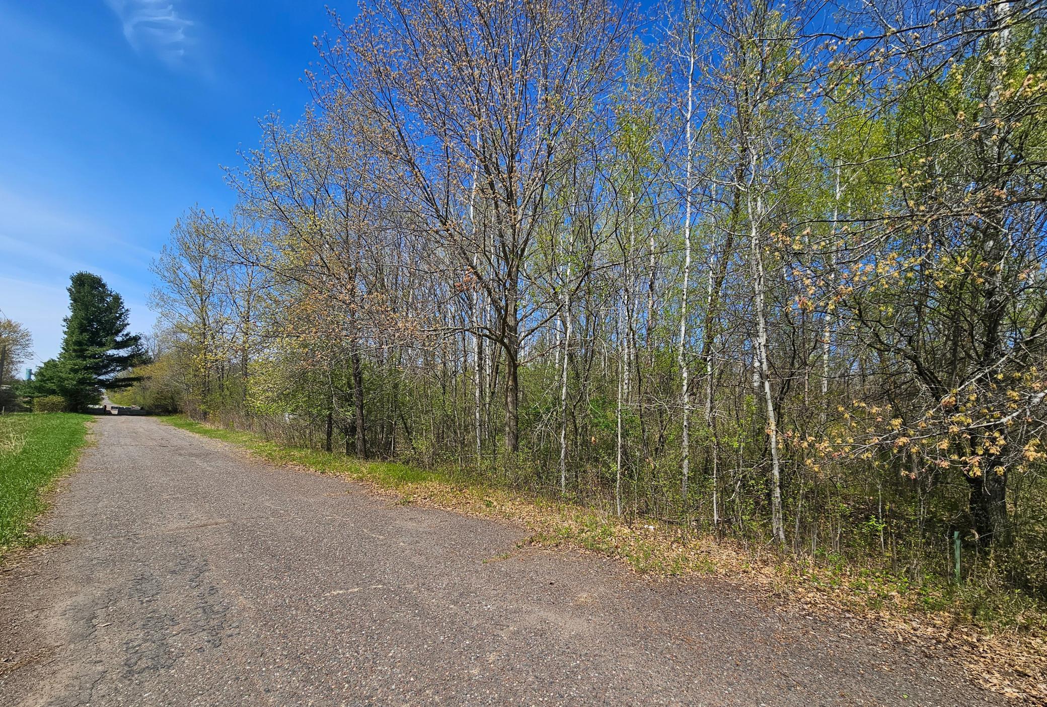 View of Land at 1336X Golden Road, Milaca MN 56353, Milaca (3 of 4) - Mike Wilen | Minnesota Team Real Estate