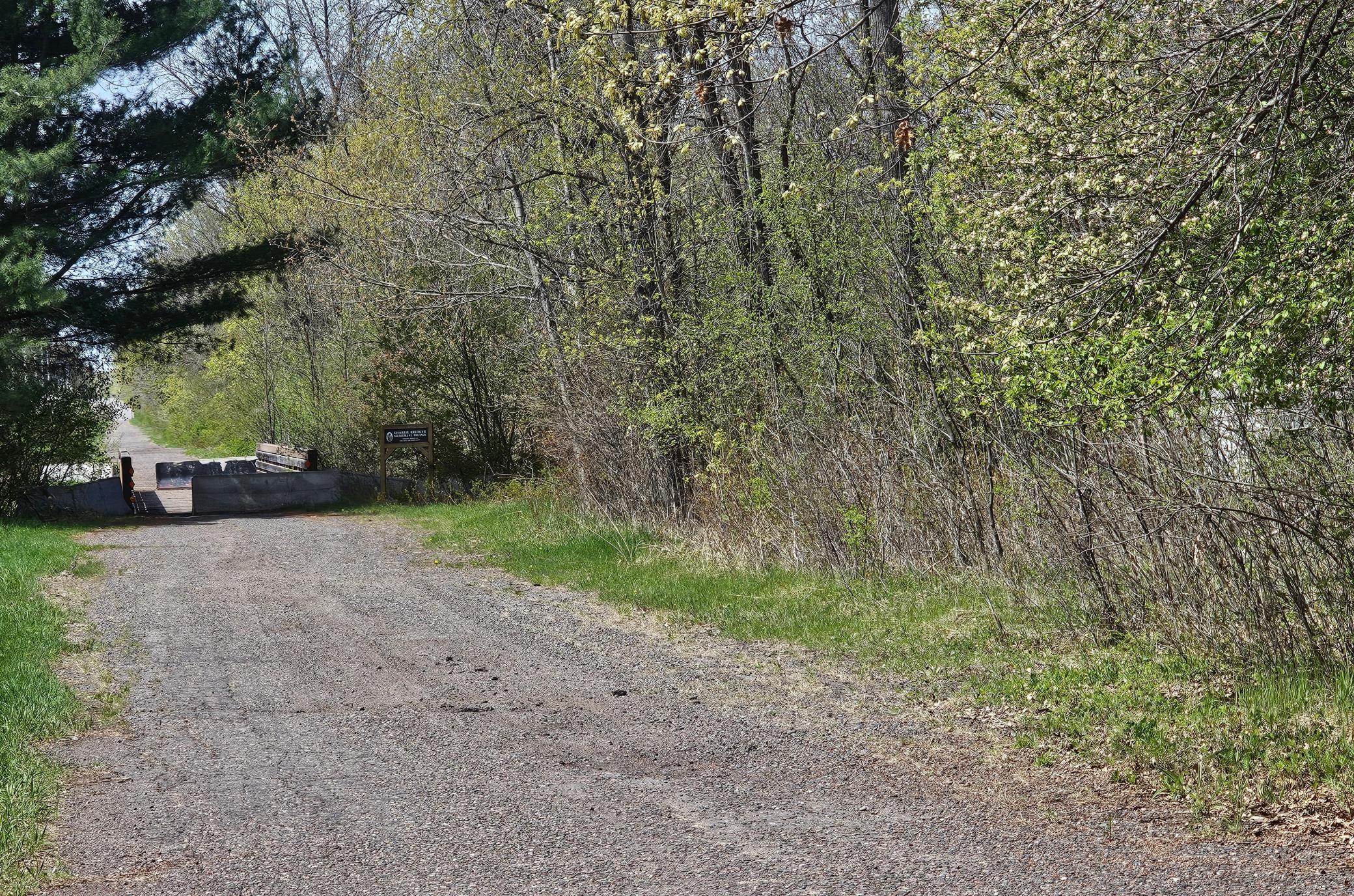 View of Land at 1336X Golden Road, Milaca MN 56353, Milaca (2 of 4) - Mike Wilen | Minnesota Team Real Estate