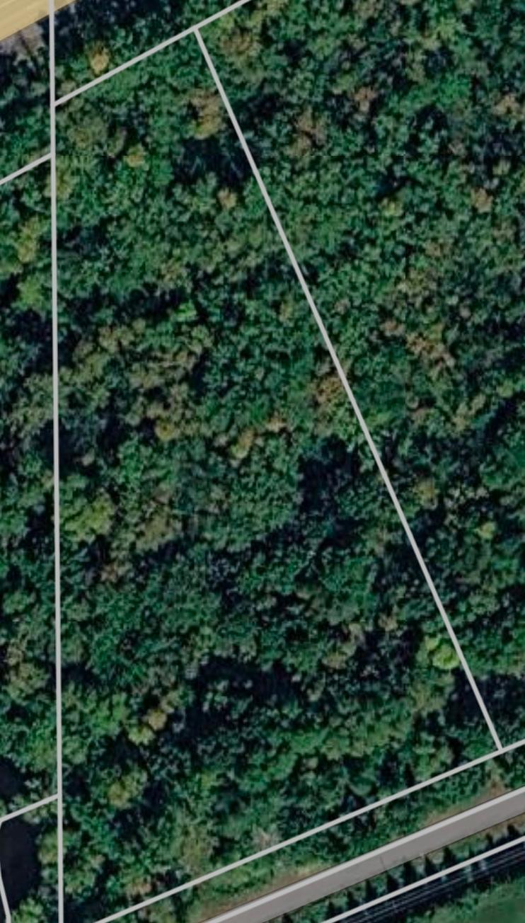 View of Land at 1336X Golden Road, Milaca MN 56353, Milaca (4 of 4) - Mike Wilen | Minnesota Team Real Estate