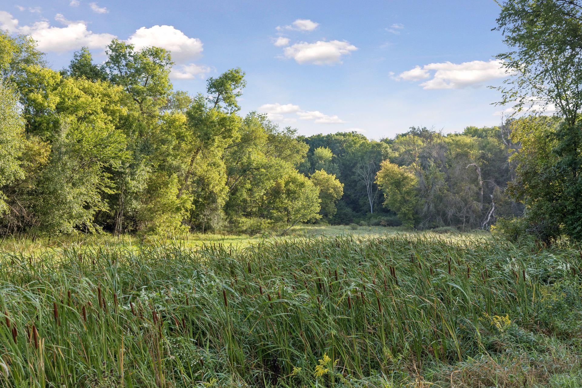 View of Land at 193XX Newgate Avenue, Marine On Saint Croix MN 55047, Marine On Saint Croix (4 of 12) - Mike Wilen | Minnesota Team Real Estate