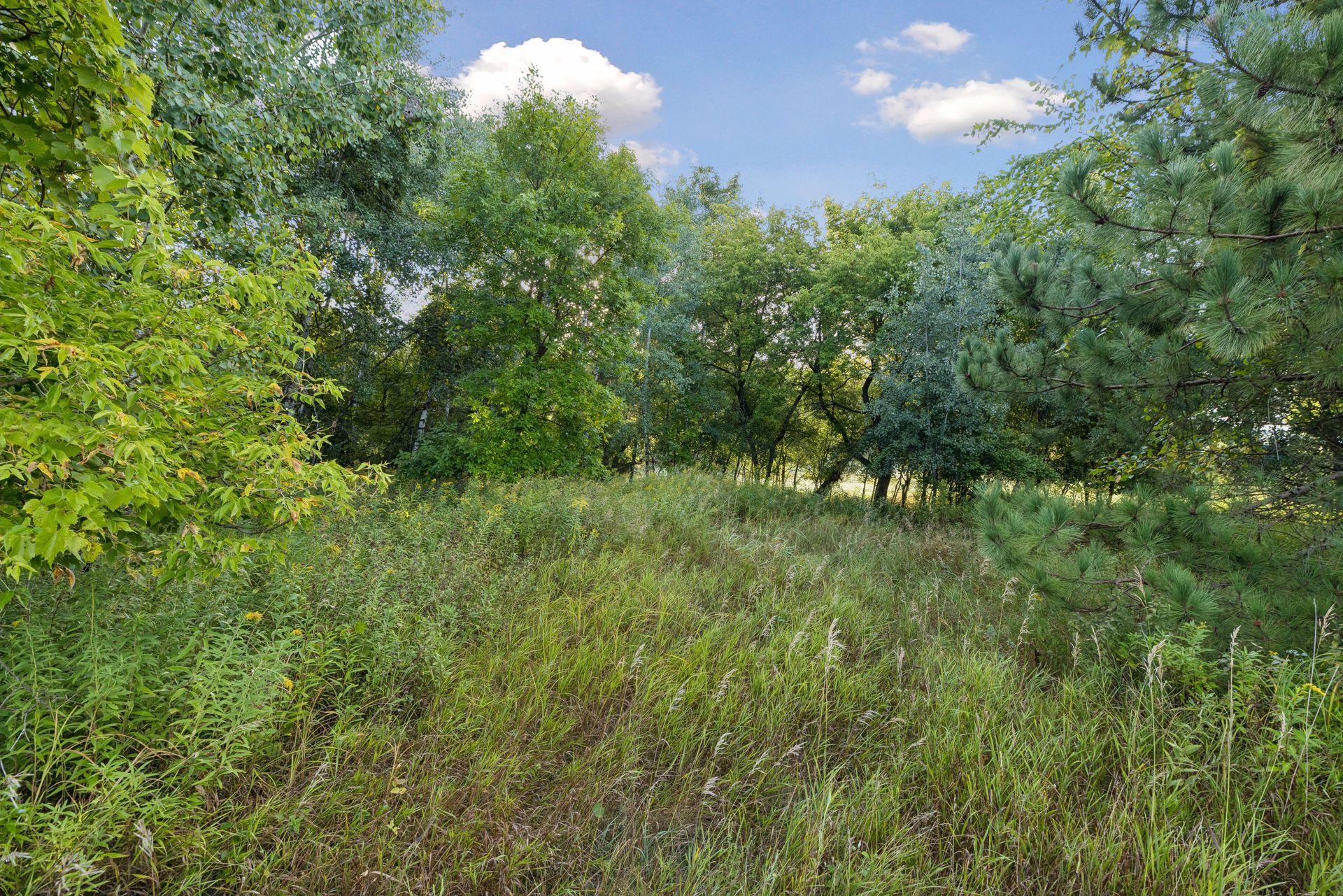 View of Land at 193XX Newgate Avenue, Marine On Saint Croix MN 55047, Marine On Saint Croix (3 of 12) - Mike Wilen | Minnesota Team Real Estate