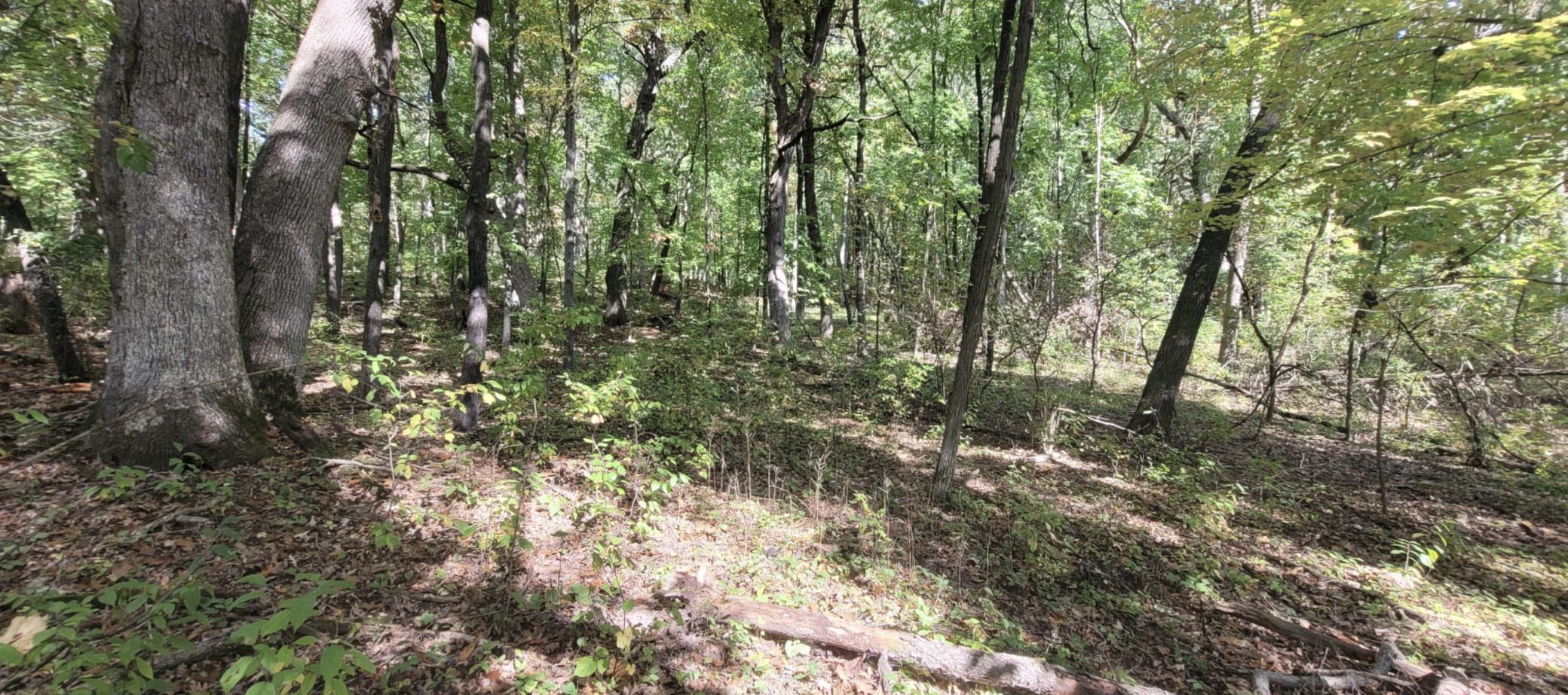 View of Land at 193XX Newgate Avenue, Marine On Saint Croix MN 55047, Marine On Saint Croix (13 of 20) - Mike Wilen | Minnesota Team Real Estate