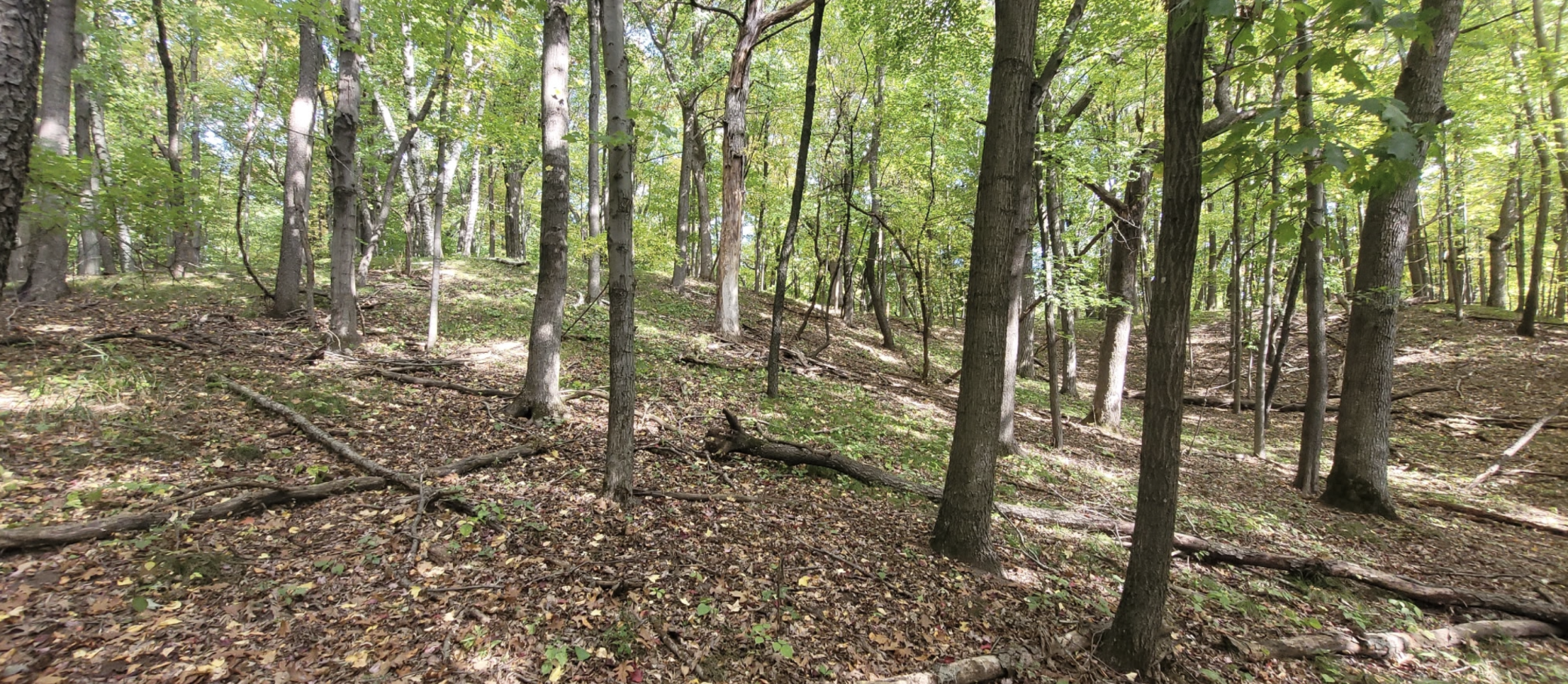 View of Land at 193XX Newgate Avenue, Marine On Saint Croix MN 55047, Marine On Saint Croix (20 of 20) - Mike Wilen | Minnesota Team Real Estate