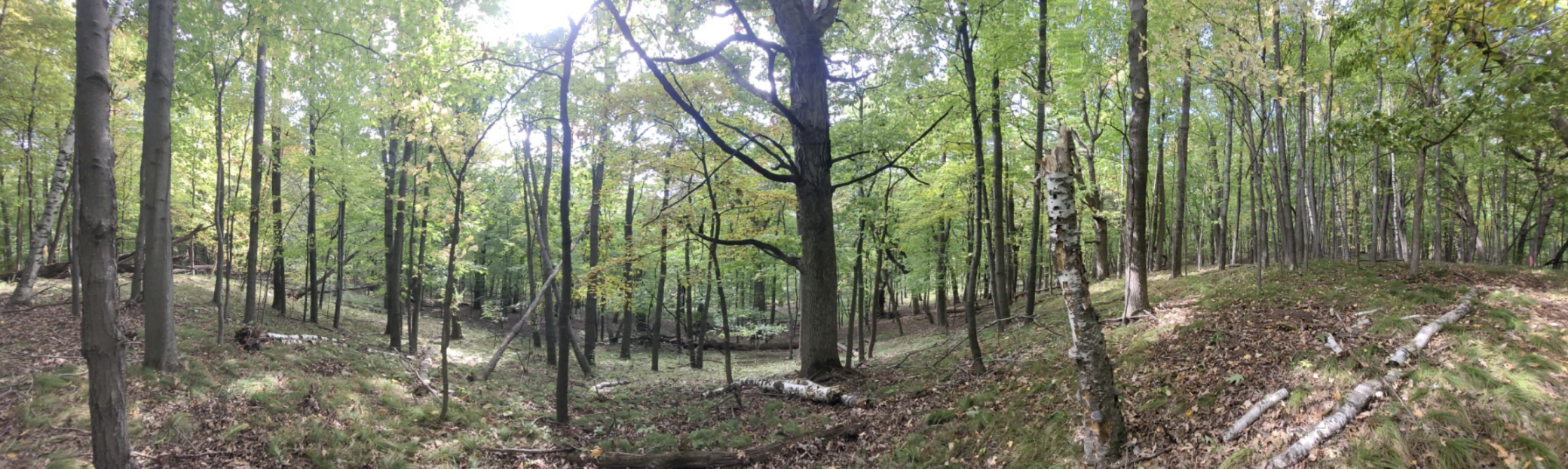 View of Land at 193XX Newgate Avenue, Marine On Saint Croix MN 55047, Marine On Saint Croix (15 of 20) - Mike Wilen | Minnesota Team Real Estate