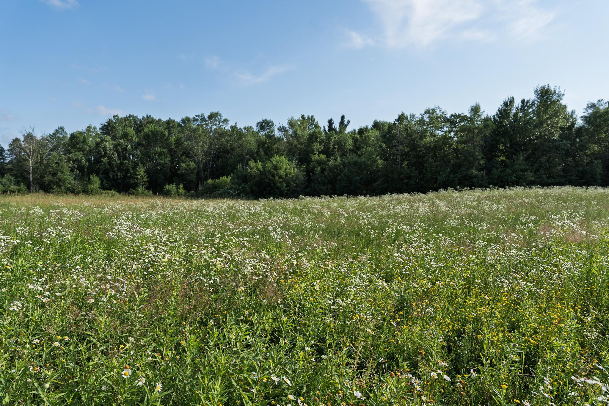 View of Residential at 18467 Vineland Road, Onamia MN 56359, Onamia (36 of 52) - Mike Wilen | Minnesota Team Real Estate