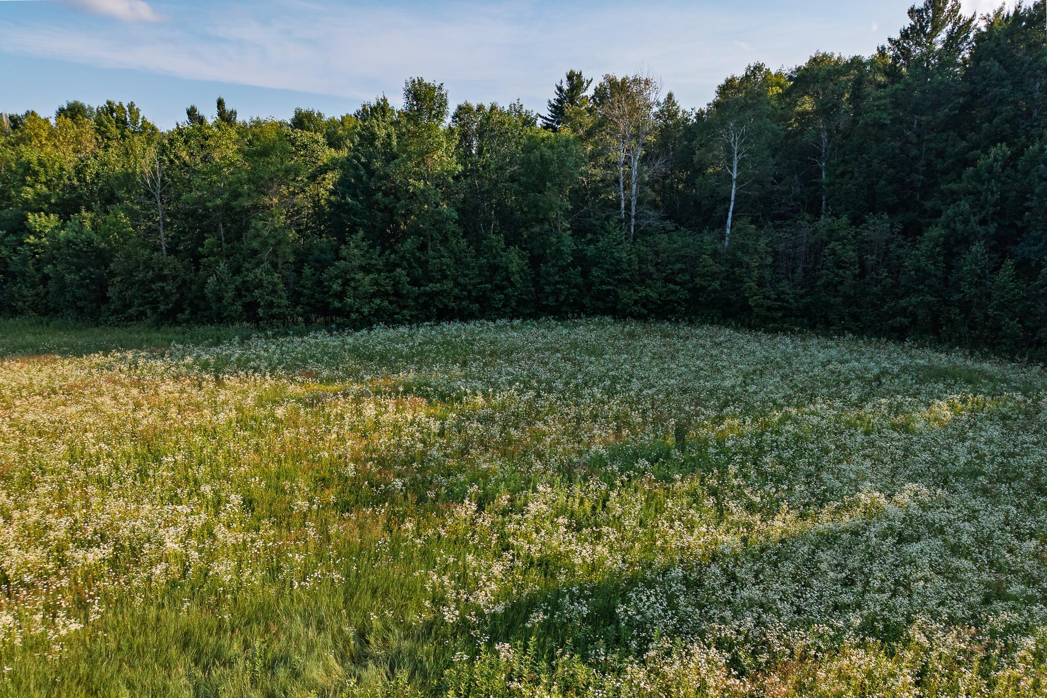 View of Residential at 18467 Vineland Road, Onamia MN 56359, Onamia (41 of 52) - Mike Wilen | Minnesota Team Real Estate