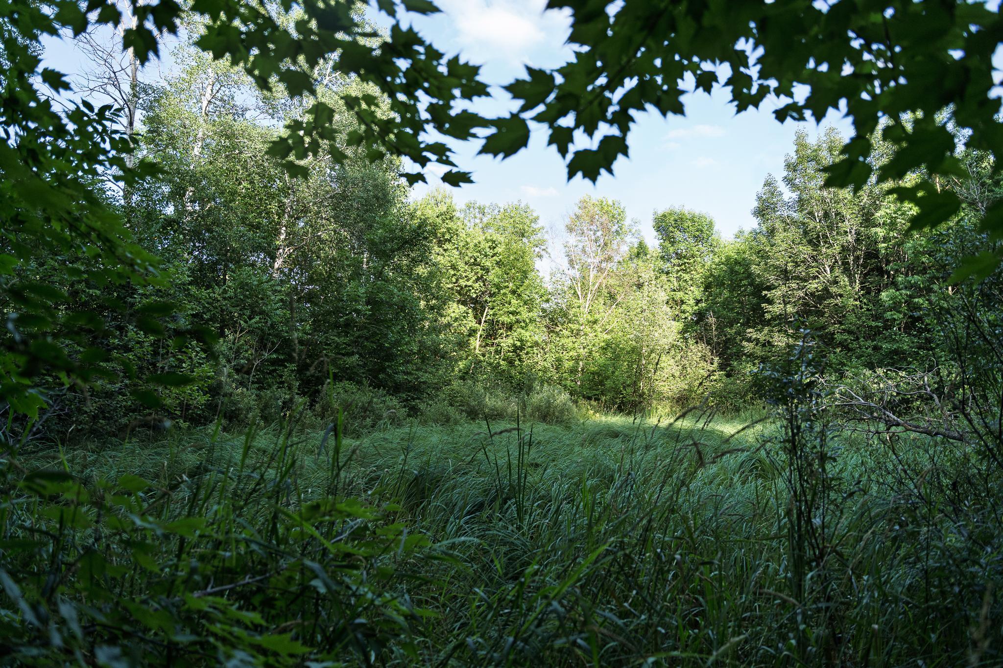 View of Residential at 18467 Vineland Road, Onamia MN 56359, Onamia (43 of 52) - Mike Wilen | Minnesota Team Real Estate