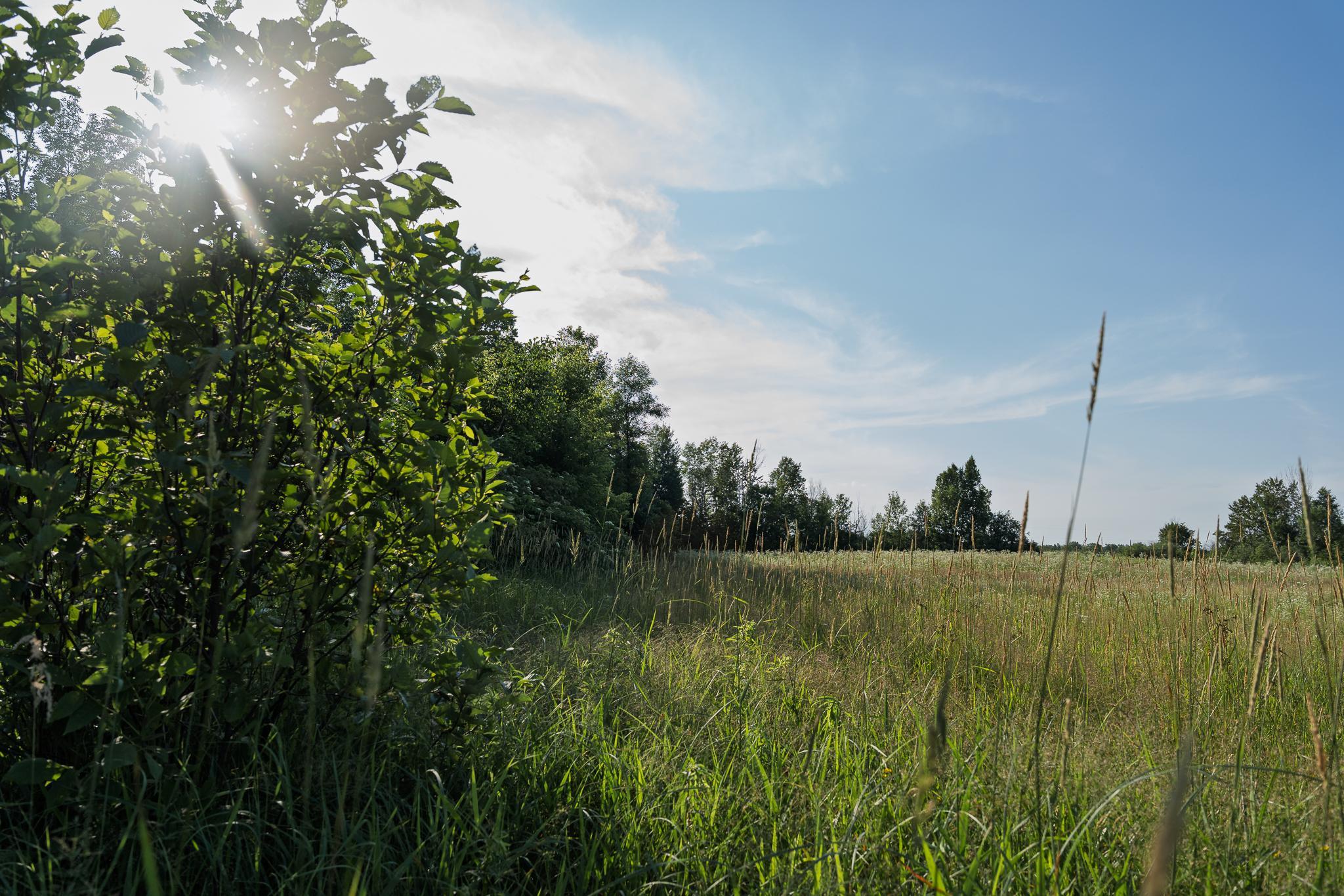 View of Residential at 18467 Vineland Road, Onamia MN 56359, Onamia (46 of 52) - Mike Wilen | Minnesota Team Real Estate