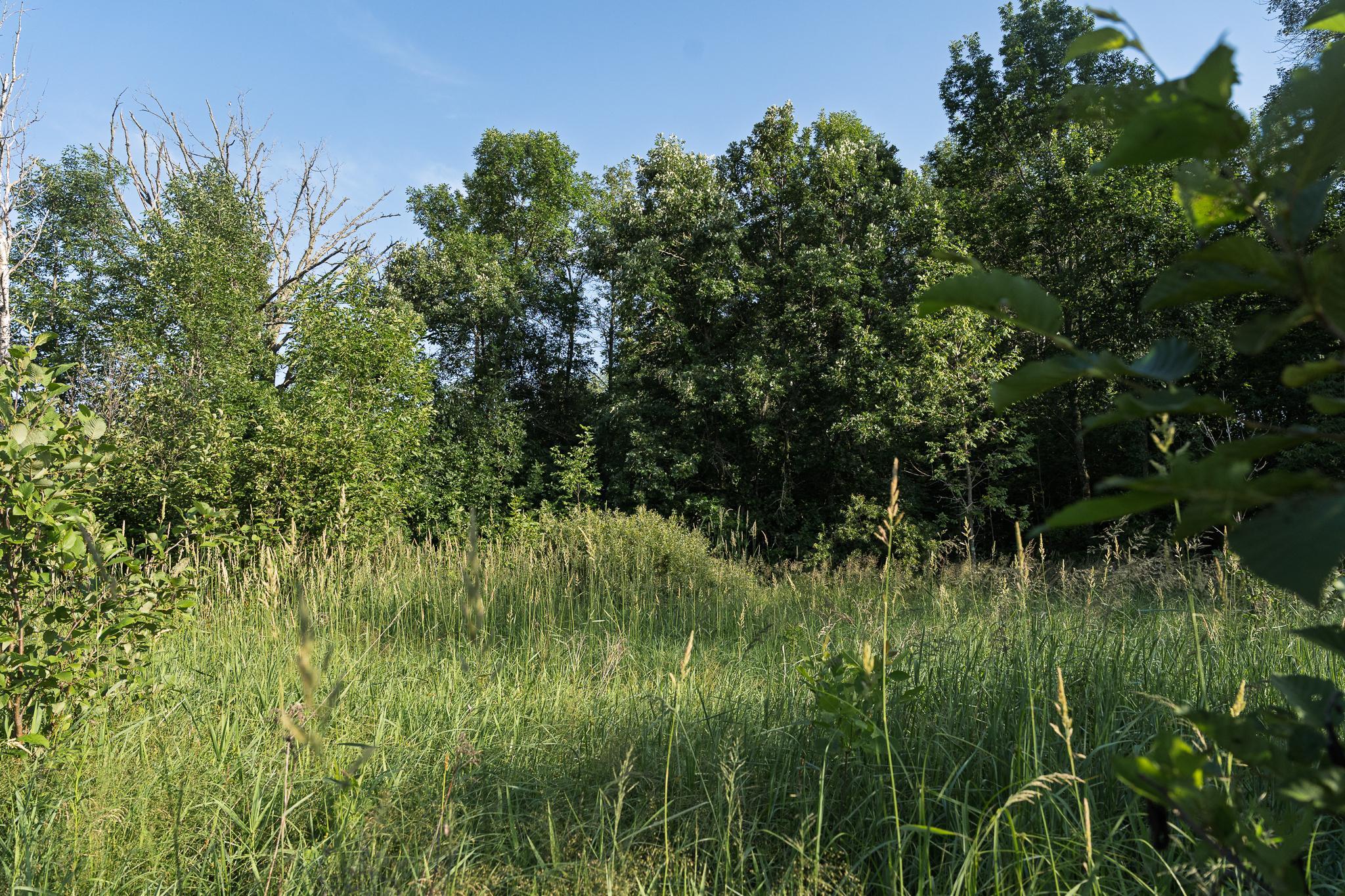 View of Residential at 18467 Vineland Road, Onamia MN 56359, Onamia (48 of 52) - Mike Wilen | Minnesota Team Real Estate