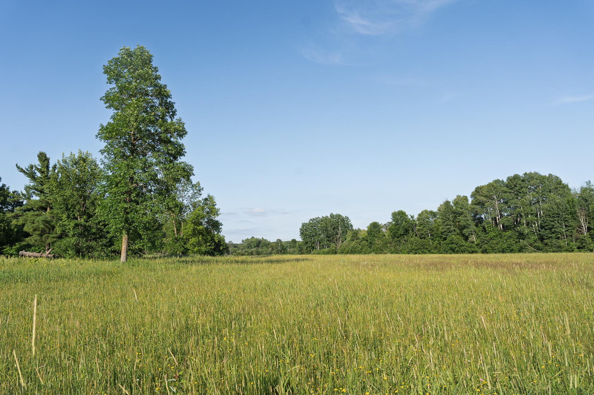 View of Residential at 18467 Vineland Road, Onamia MN 56359, Onamia (49 of 52) - Mike Wilen | Minnesota Team Real Estate
