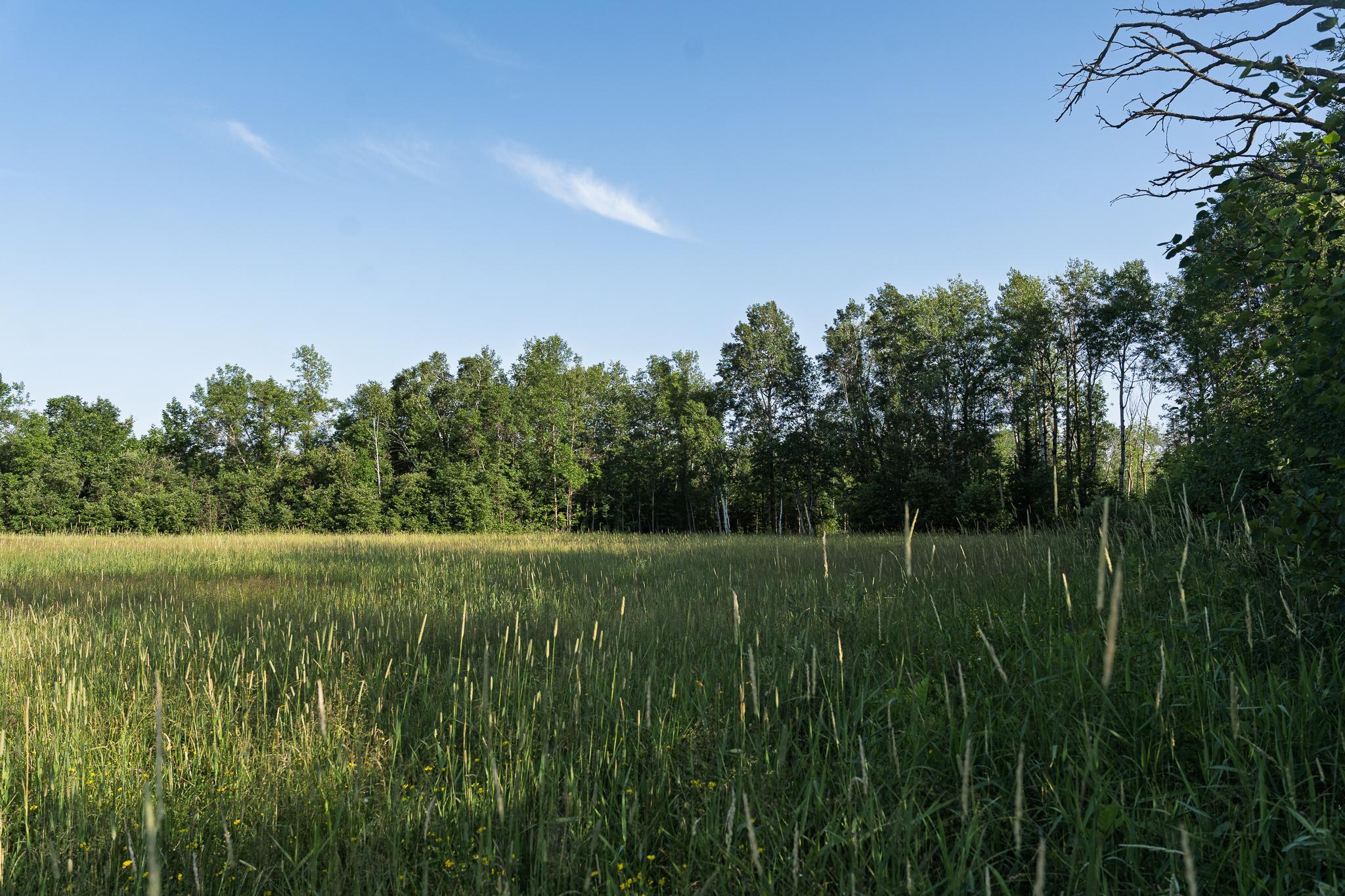View of Residential at 18467 Vineland Road, Onamia MN 56359, Onamia (51 of 52) - Mike Wilen | Minnesota Team Real Estate