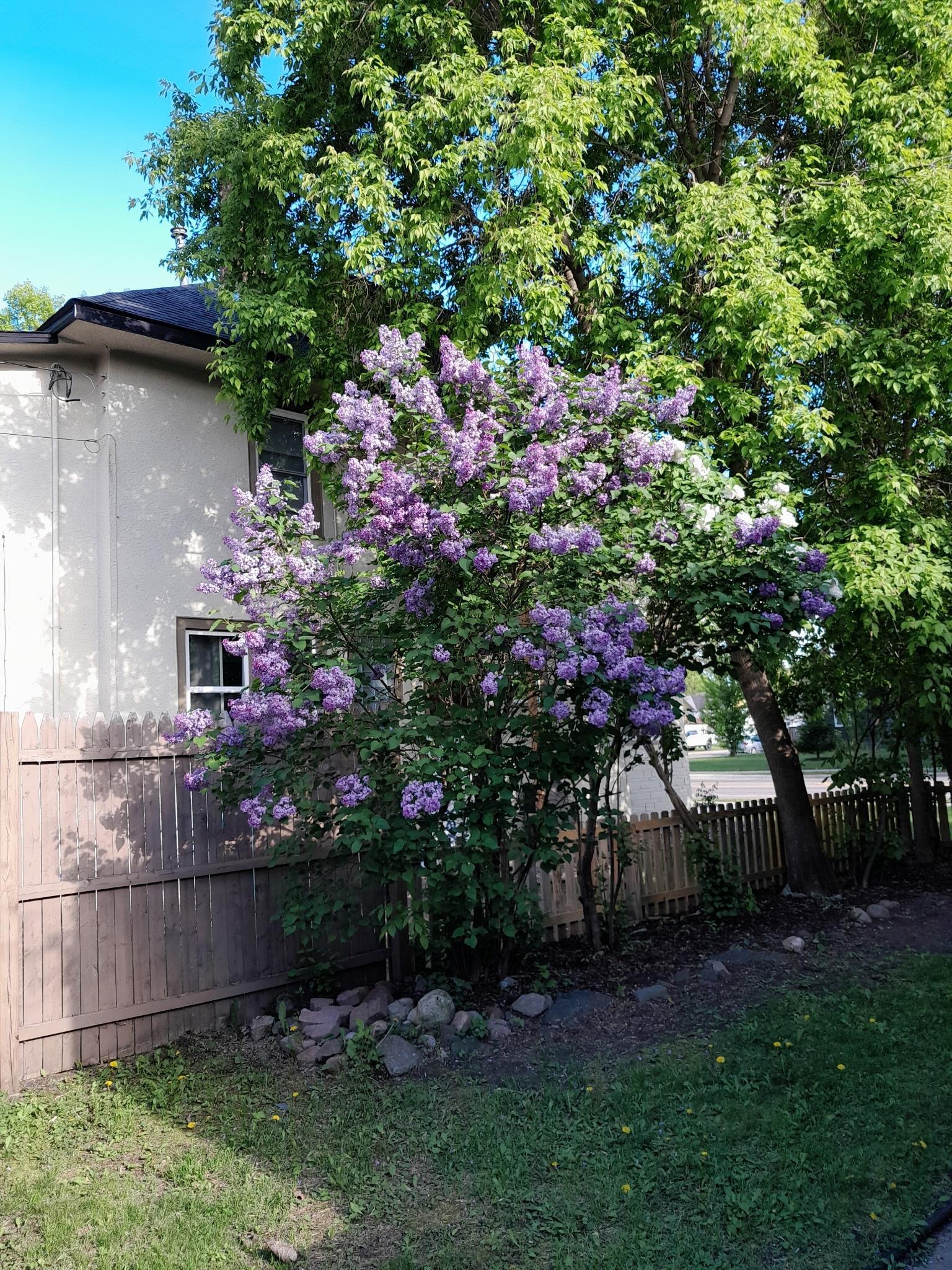 View of Residential at 1415 Oak Street, Brainerd MN 56401, Brainerd (21 of 24) - Mike Wilen | Minnesota Team Real Estate
