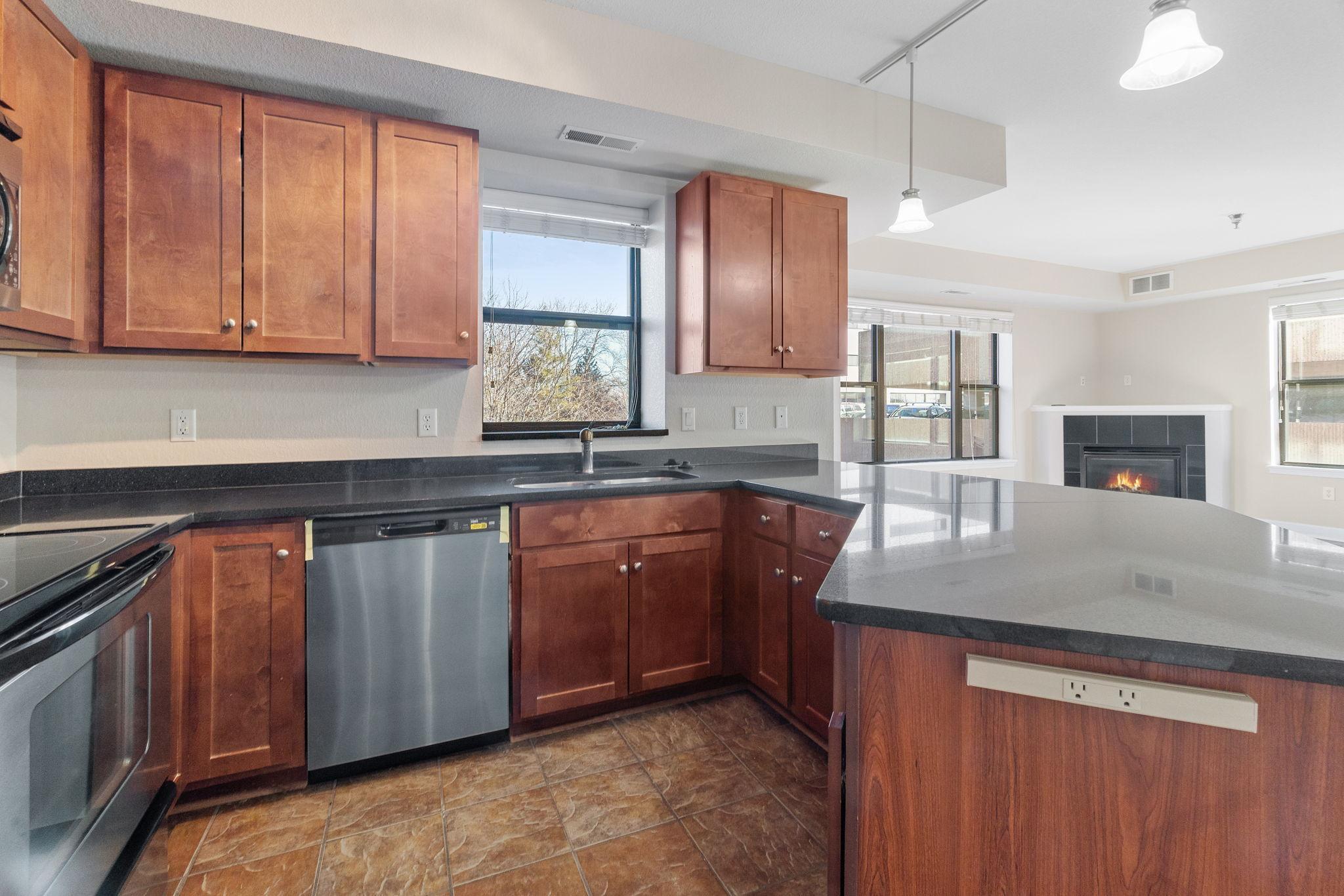View of Residential at 1155 Ford Road #201, Saint Louis Park MN 55426, Saint Louis Park (7 of 33) - Mike Wilen | Minnesota Team Real Estate