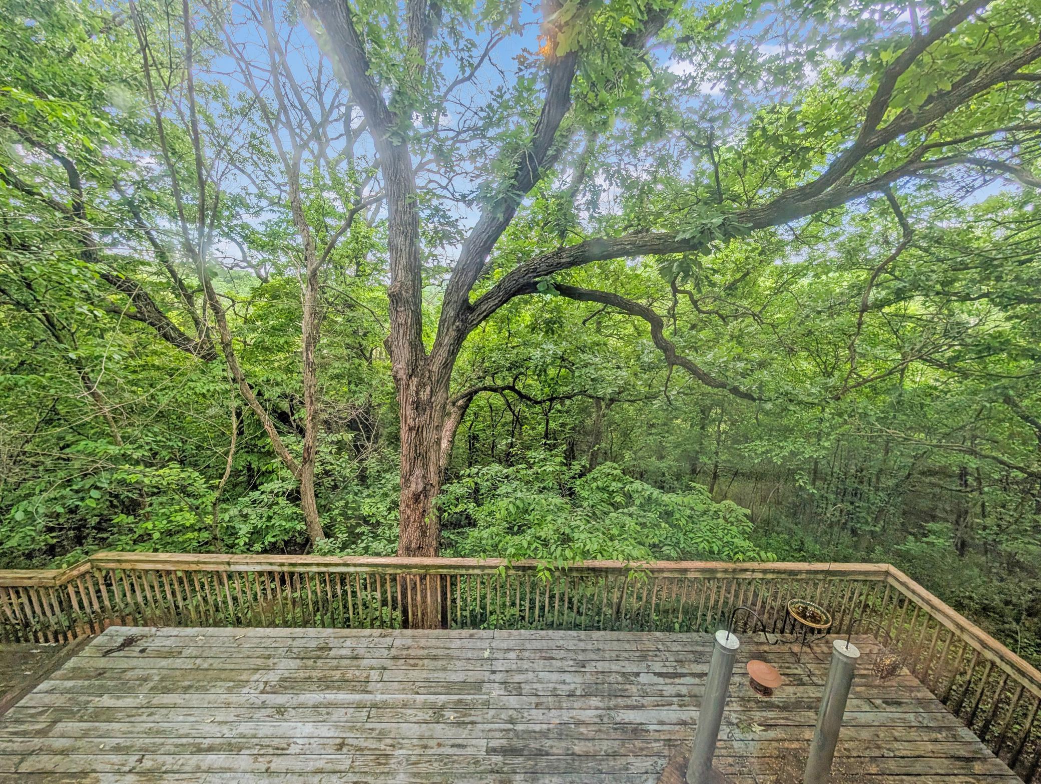 View of Residential at 16220 Hayes Avenue, Carver MN 55315, Carver (30 of 59) - Mike Wilen | Minnesota Team Real Estate
