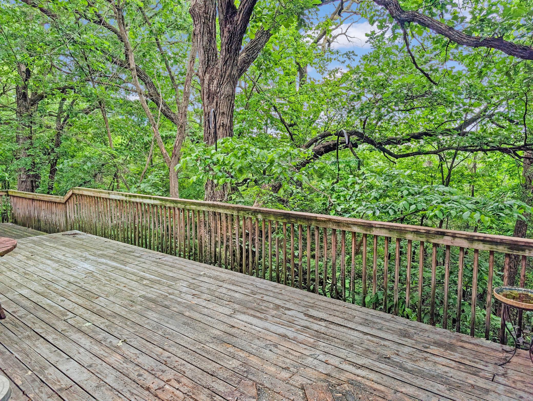 View of Residential at 16220 Hayes Avenue, Carver MN 55315, Carver (18 of 59) - Mike Wilen | Minnesota Team Real Estate
