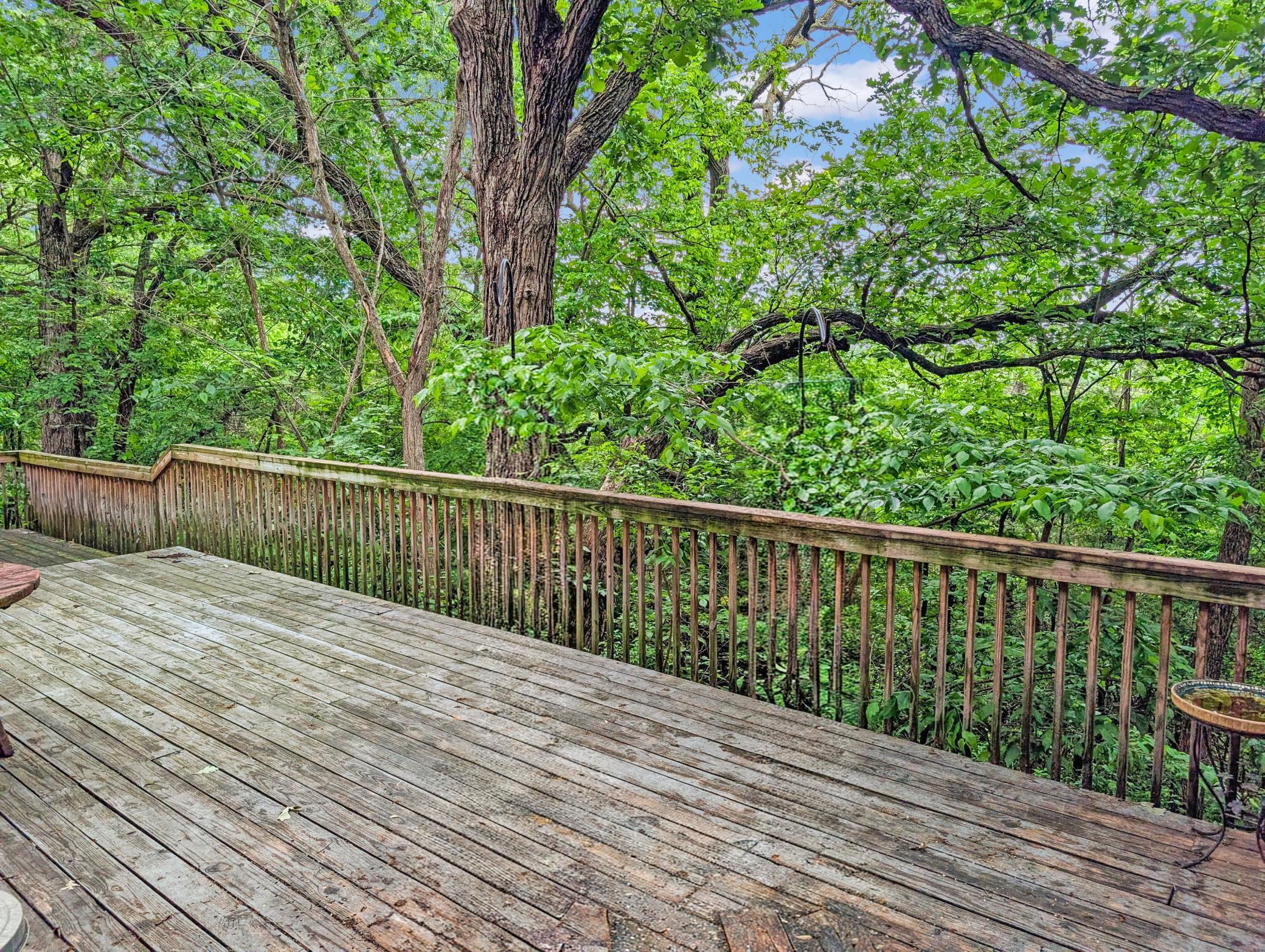 View of Residential at 16220 Hayes Avenue, Carver MN 55315, Carver (7 of 59) - Mike Wilen | Minnesota Team Real Estate