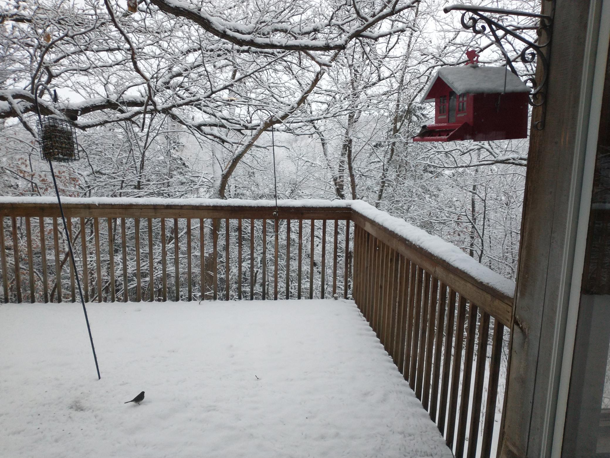 View of Residential at 16220 Hayes Avenue, Carver MN 55315, Carver (59 of 59) - Mike Wilen | Minnesota Team Real Estate
