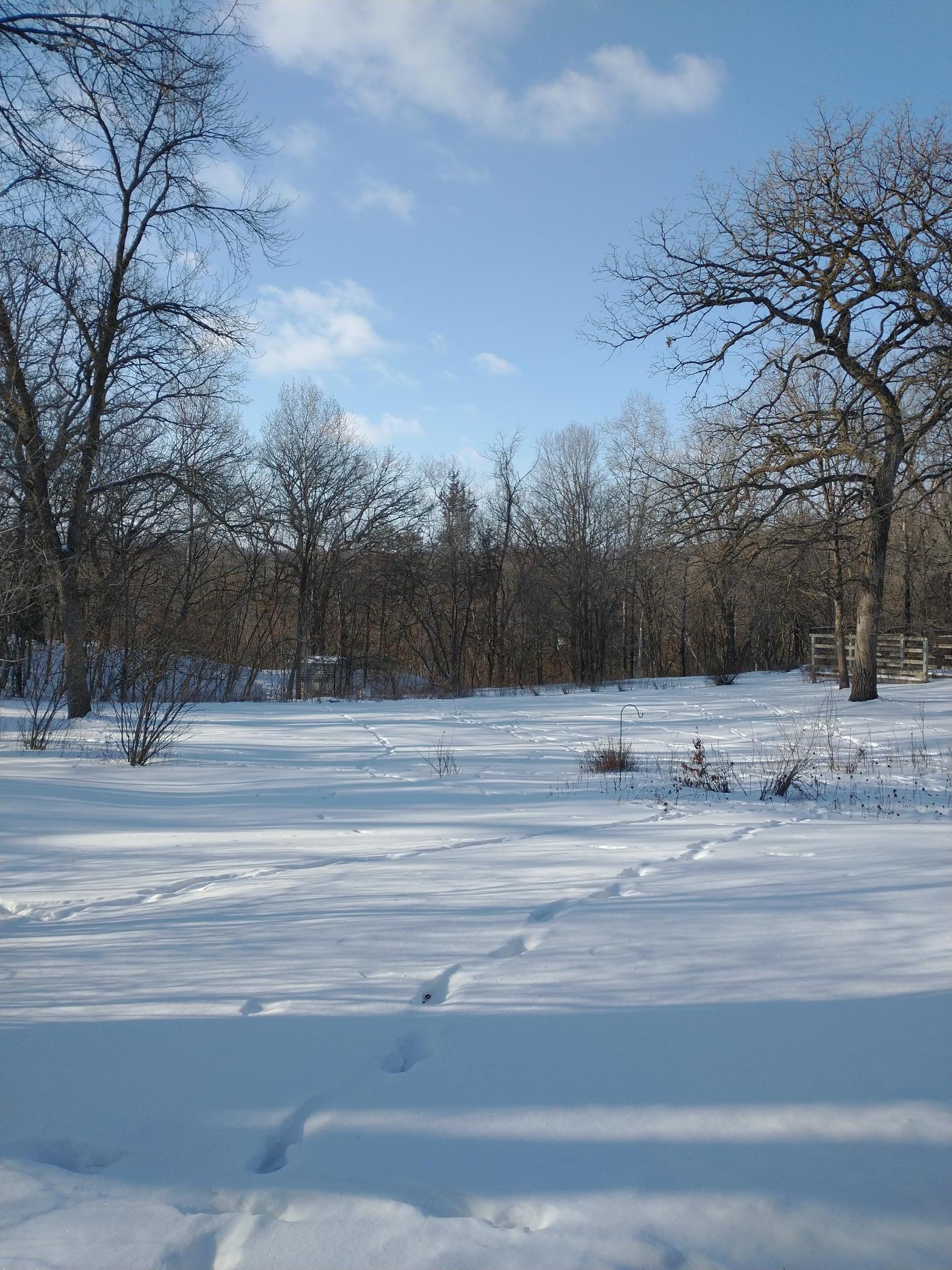 View of Residential at 16220 Hayes Avenue, Carver MN 55315, Carver (58 of 59) - Mike Wilen | Minnesota Team Real Estate