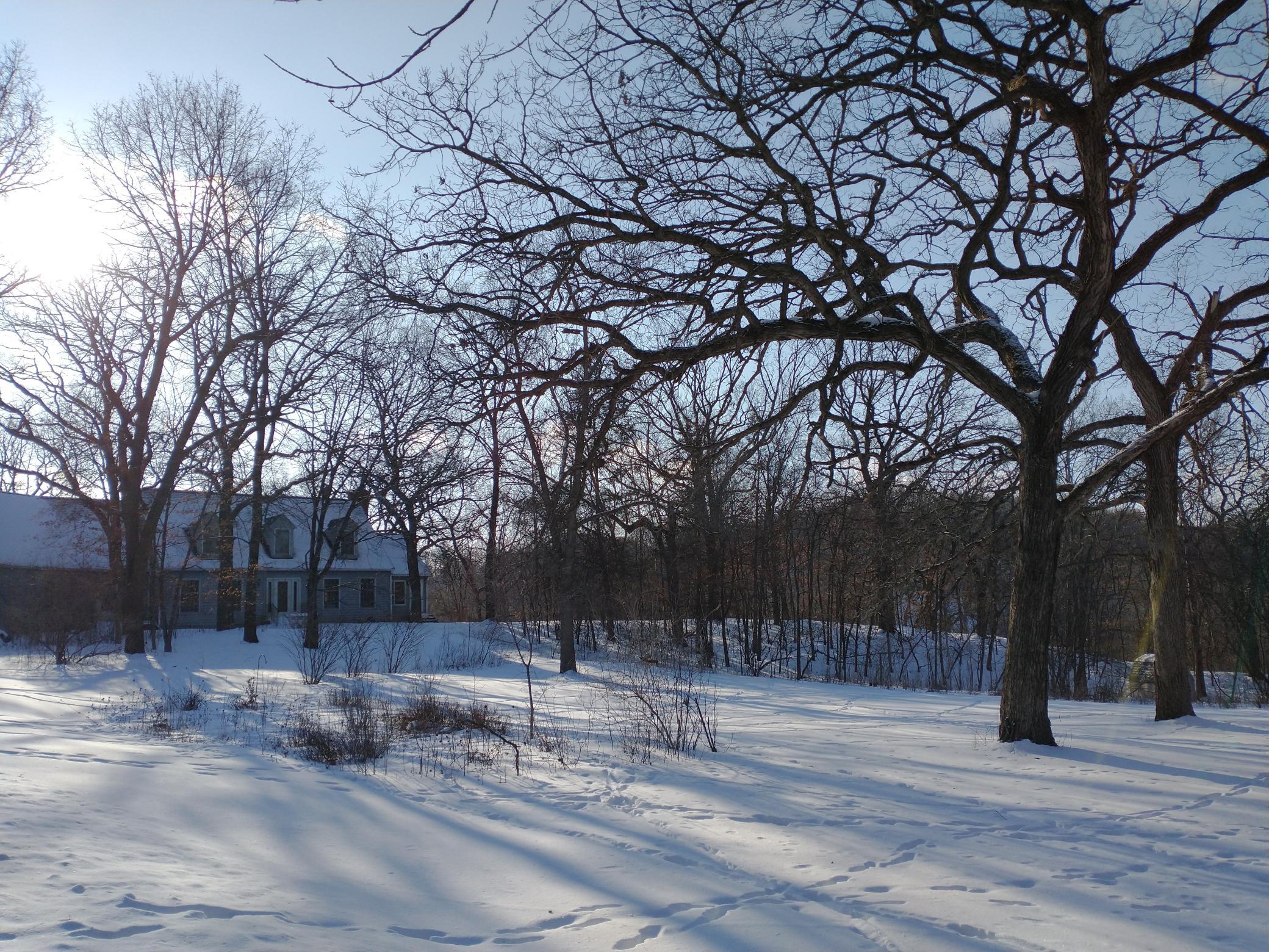 View of Residential at 16220 Hayes Avenue, Carver MN 55315, Carver (57 of 59) - Mike Wilen | Minnesota Team Real Estate
