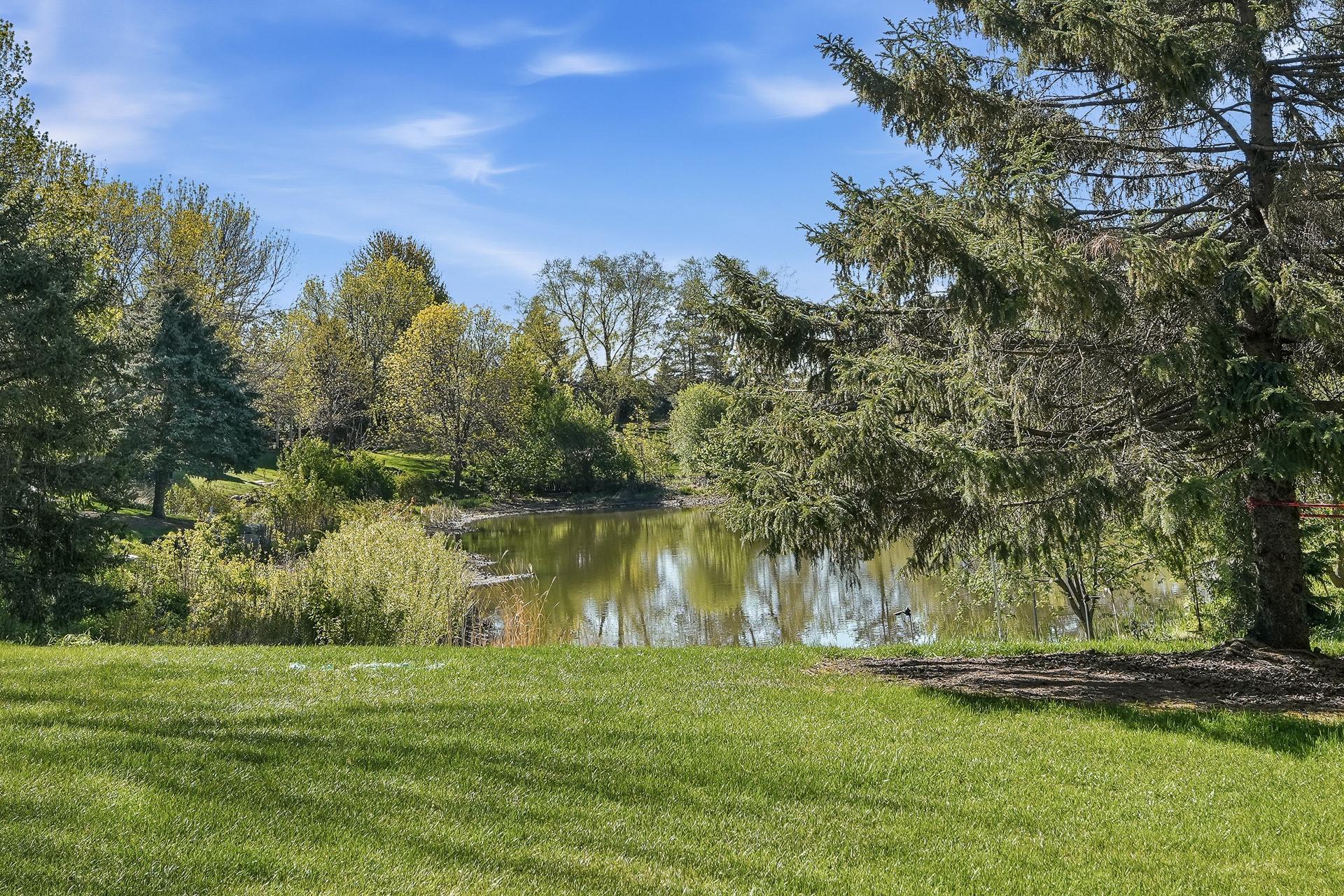 View of Residential at 8821 Stonebrooke Court, Woodbury MN 55125, Woodbury (13 of 58) - Mike Wilen | Minnesota Team Real Estate