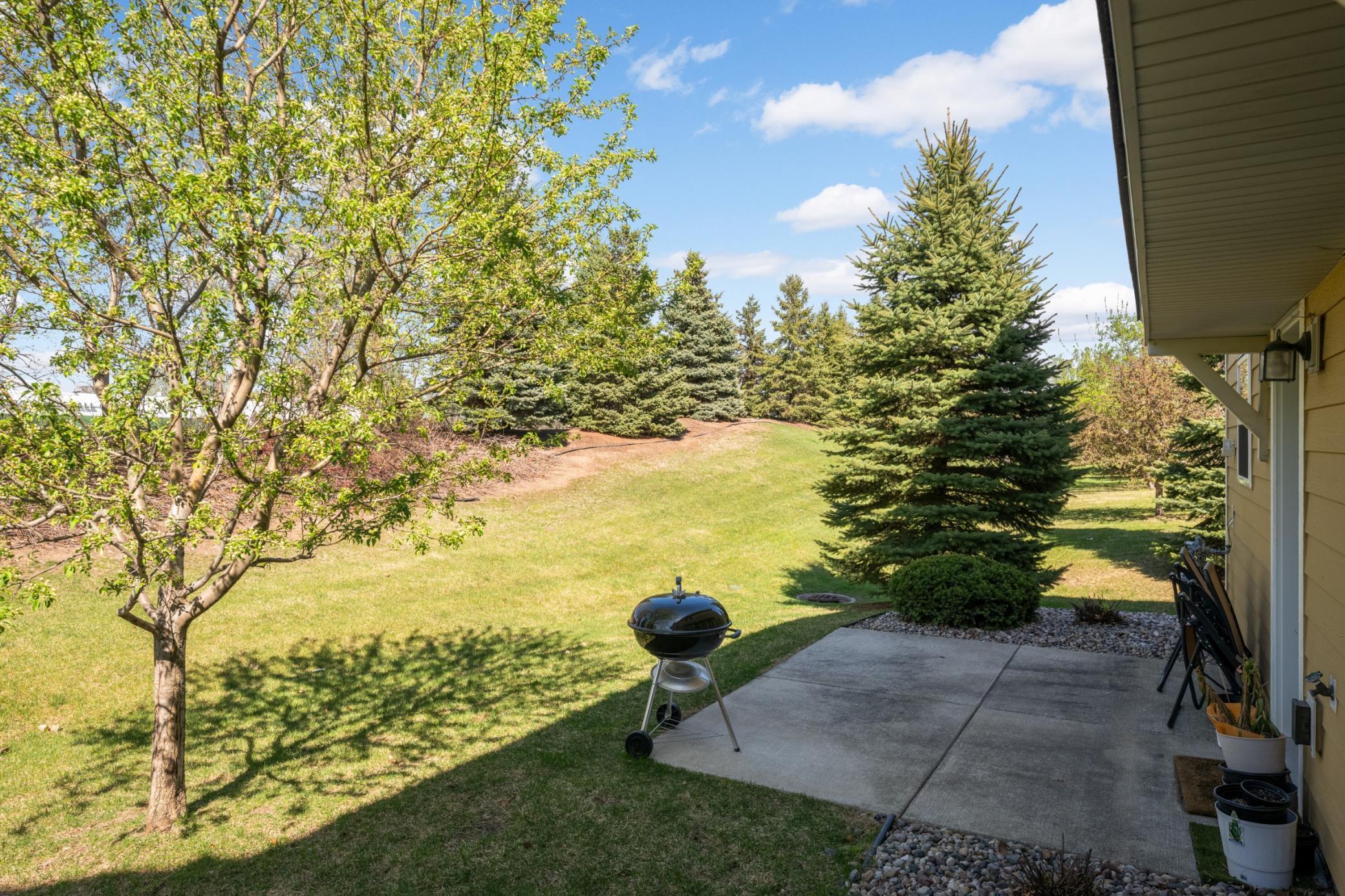 View of Residential at 3437 Chestnut Lane, Eagan MN 55123, Eagan (30 of 42) - Mike Wilen | Minnesota Team Real Estate