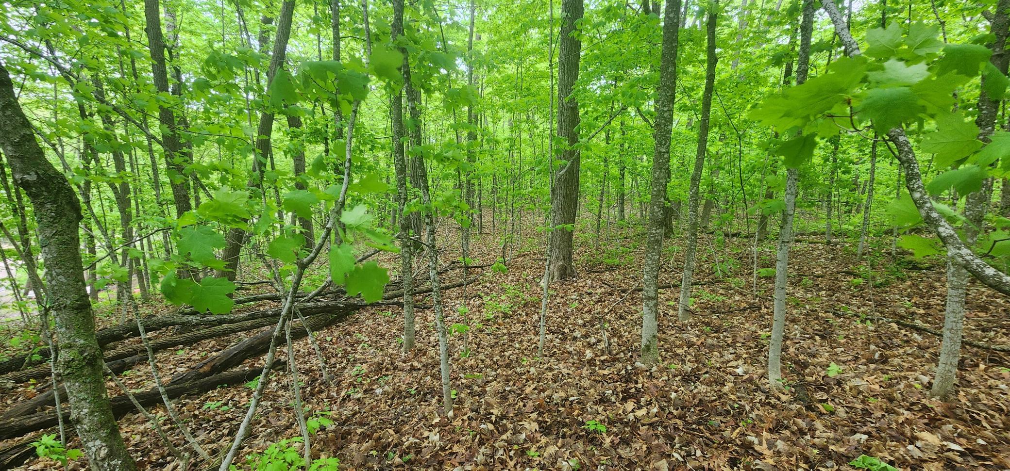 View of Land at XXXXX Journeys end, Garrison MN 56450, Garrison - Mike Wilen | Minnesota Team Real Estate