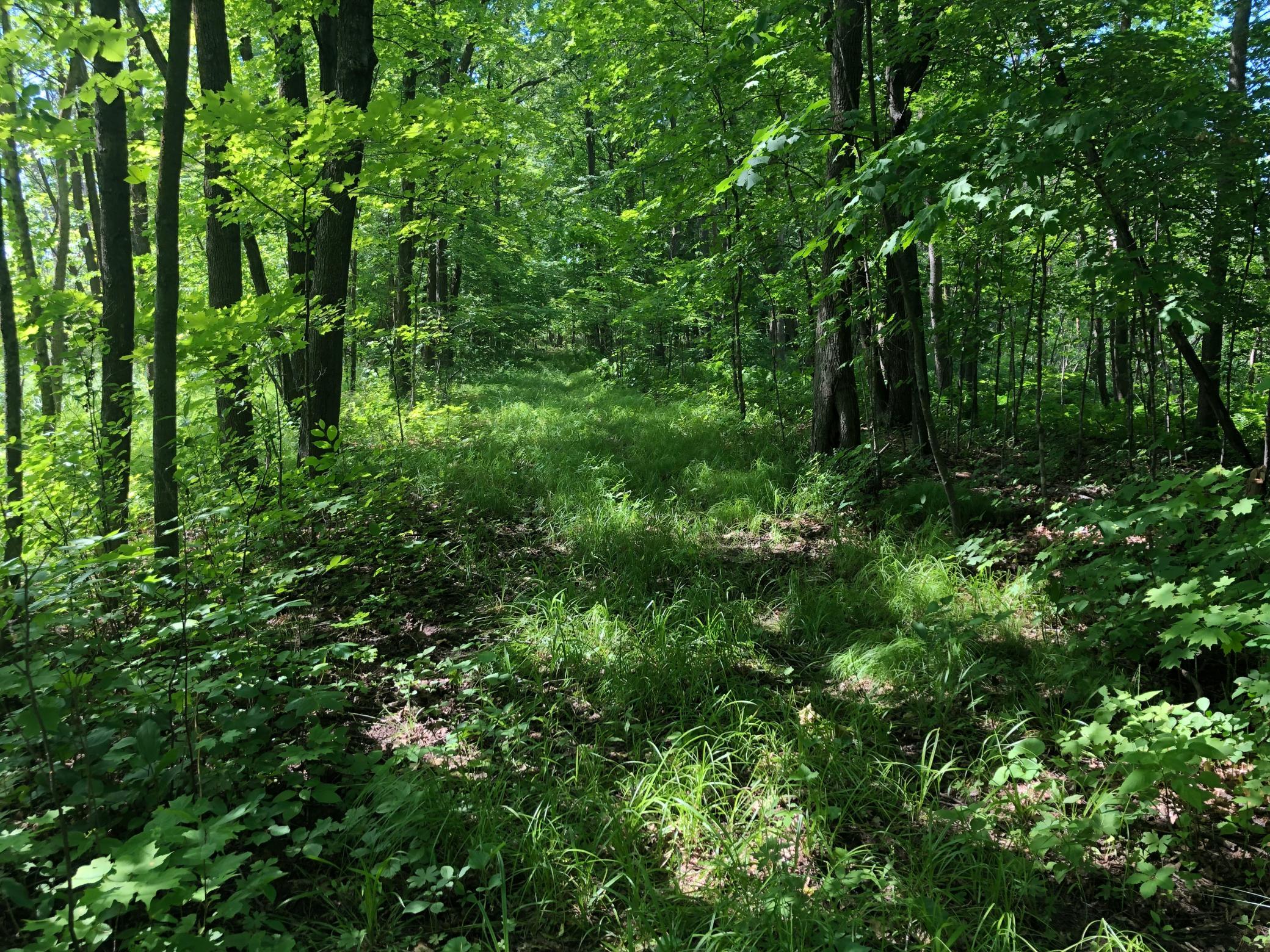 View of Land at TBD 388th St, Onamia MN 56359, Onamia (12 of 56) - Mike Wilen | Minnesota Team Real Estate