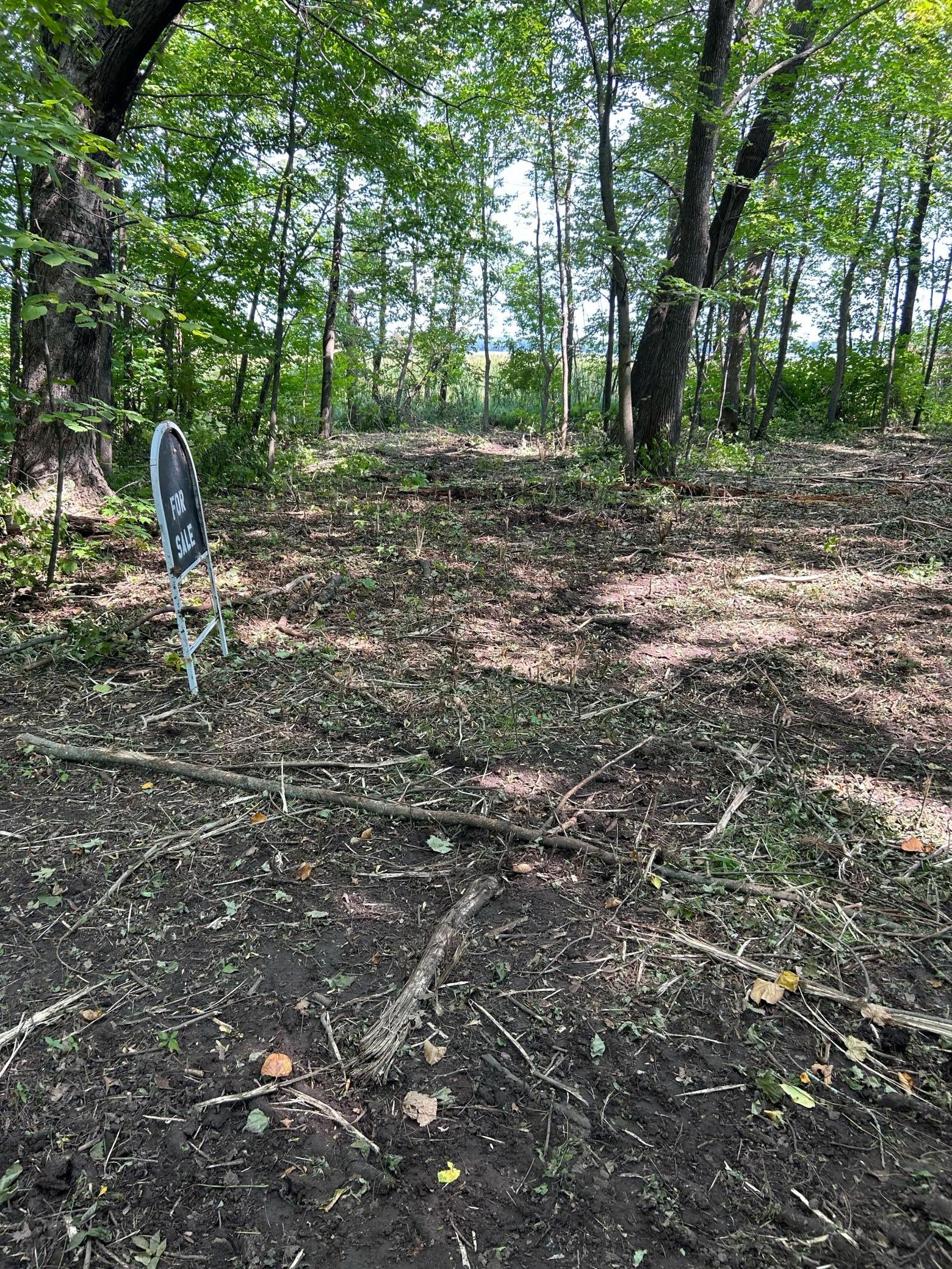 View of Land at TBD 388th St, Onamia MN 56359, Onamia (9 of 56) - Mike Wilen | Minnesota Team Real Estate
