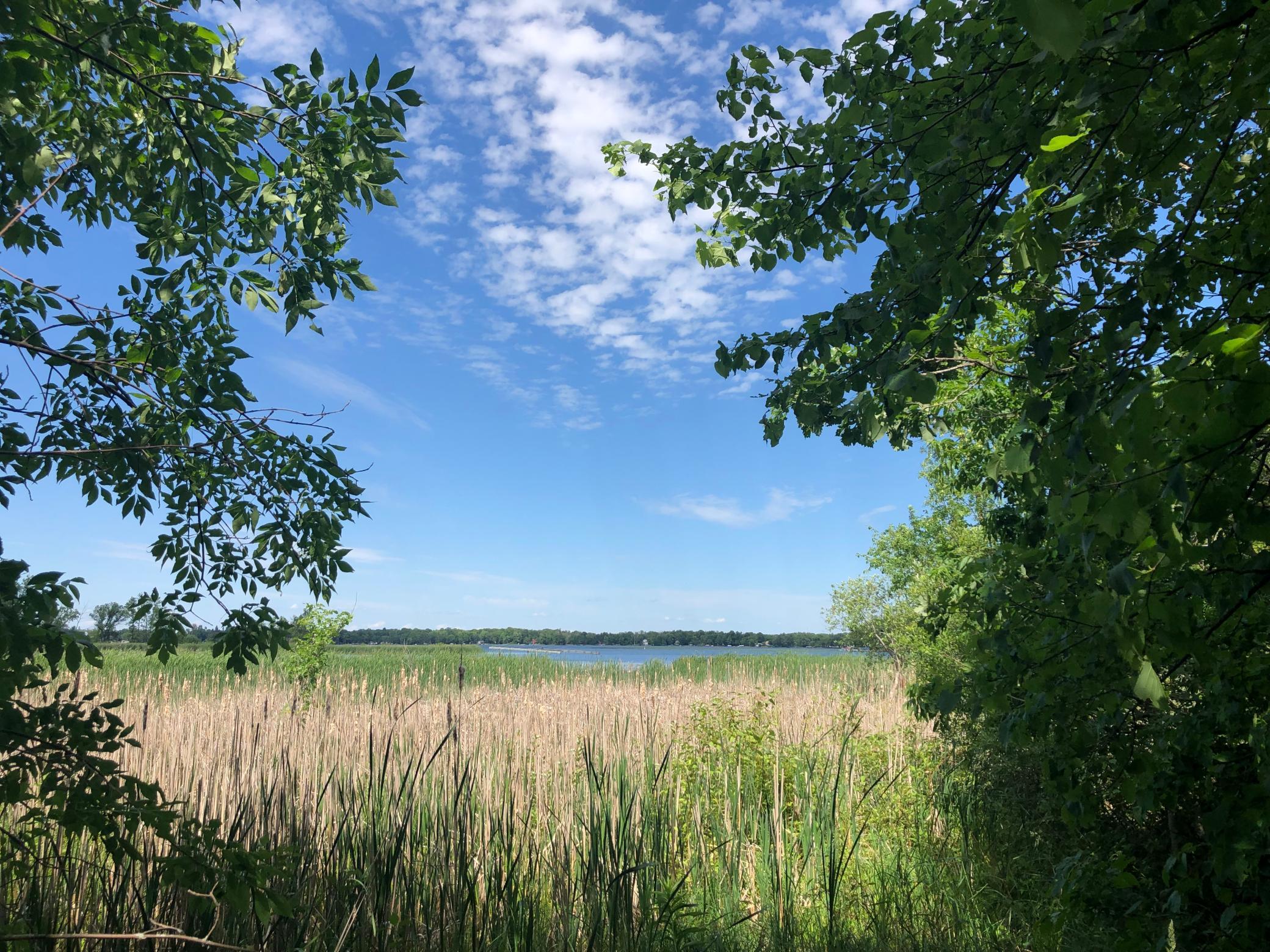 View of Land at TBD 388th St, Onamia MN 56359, Onamia (15 of 56) - Mike Wilen | Minnesota Team Real Estate