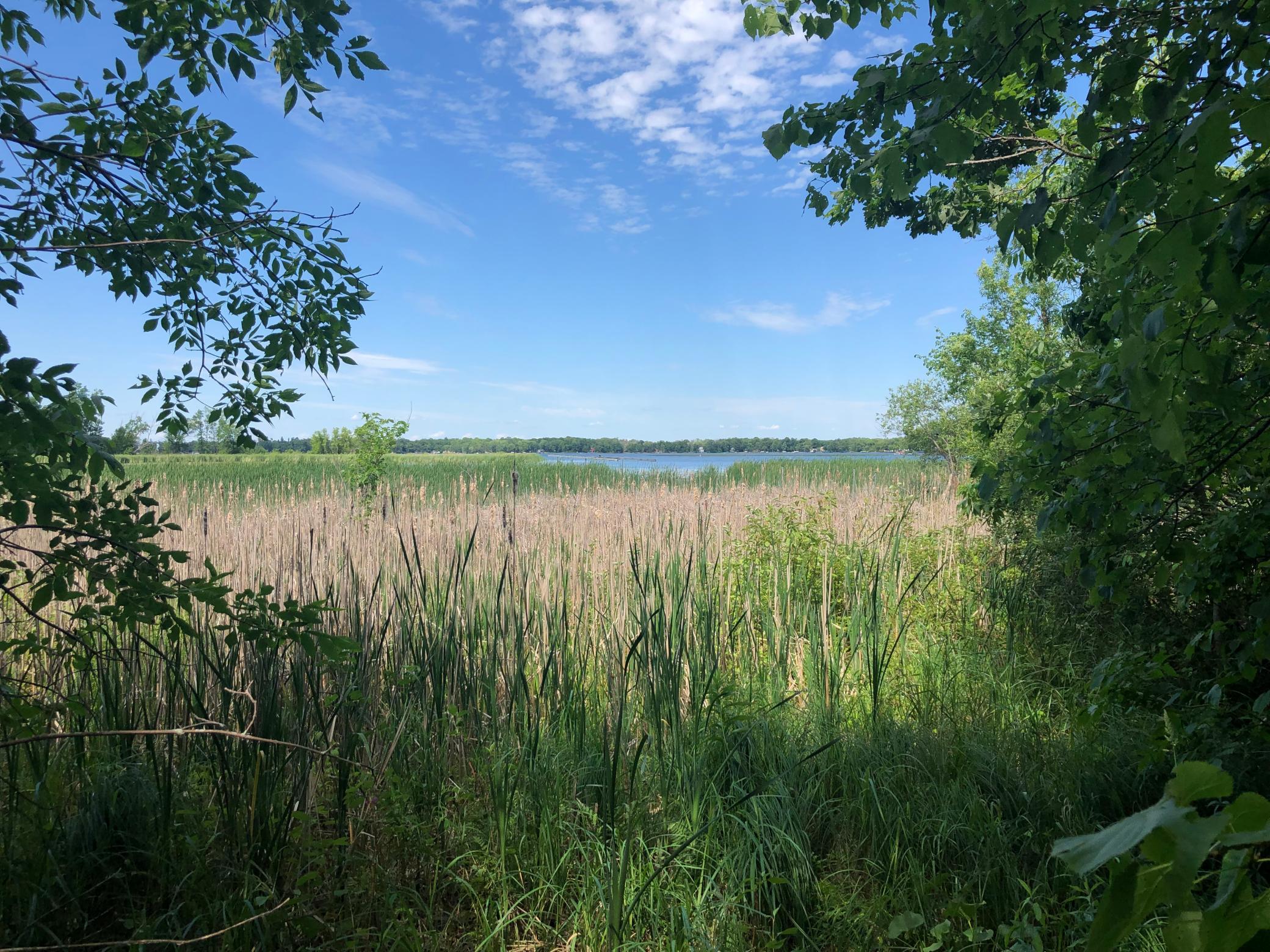 View of Land at TBD 388th St, Onamia MN 56359, Onamia (16 of 56) - Mike Wilen | Minnesota Team Real Estate