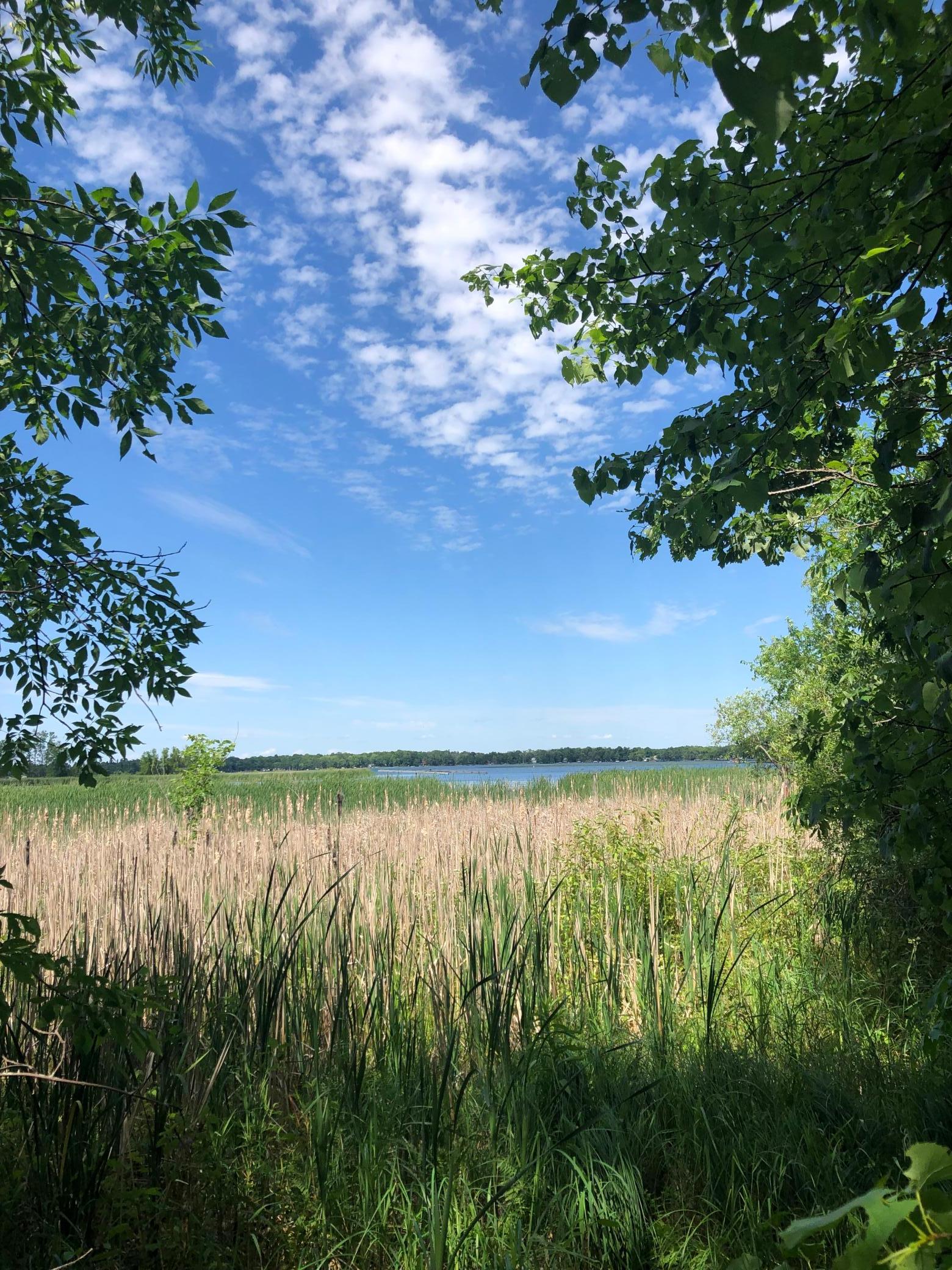 View of Land at TBD 388th St, Onamia MN 56359, Onamia (17 of 56) - Mike Wilen | Minnesota Team Real Estate