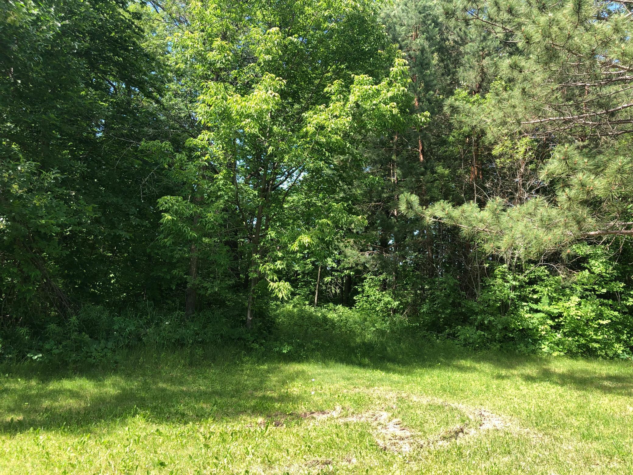 View of Land at TBD 388th St, Onamia MN 56359, Onamia (18 of 56) - Mike Wilen | Minnesota Team Real Estate