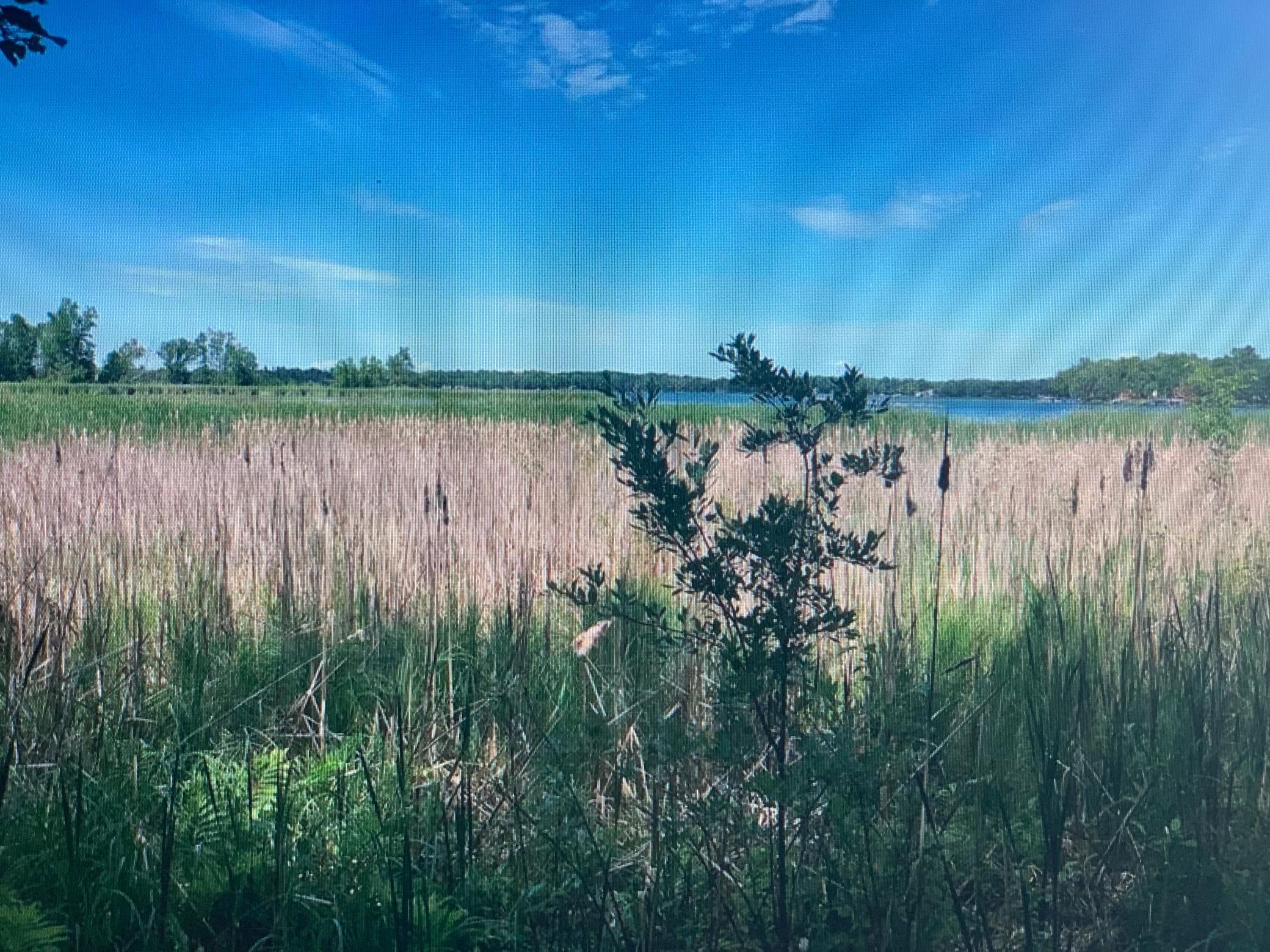 View of Land at TBD 388th, Onamia MN 56359, Onamia (28 of 31) - Mike Wilen | Minnesota Team Real Estate