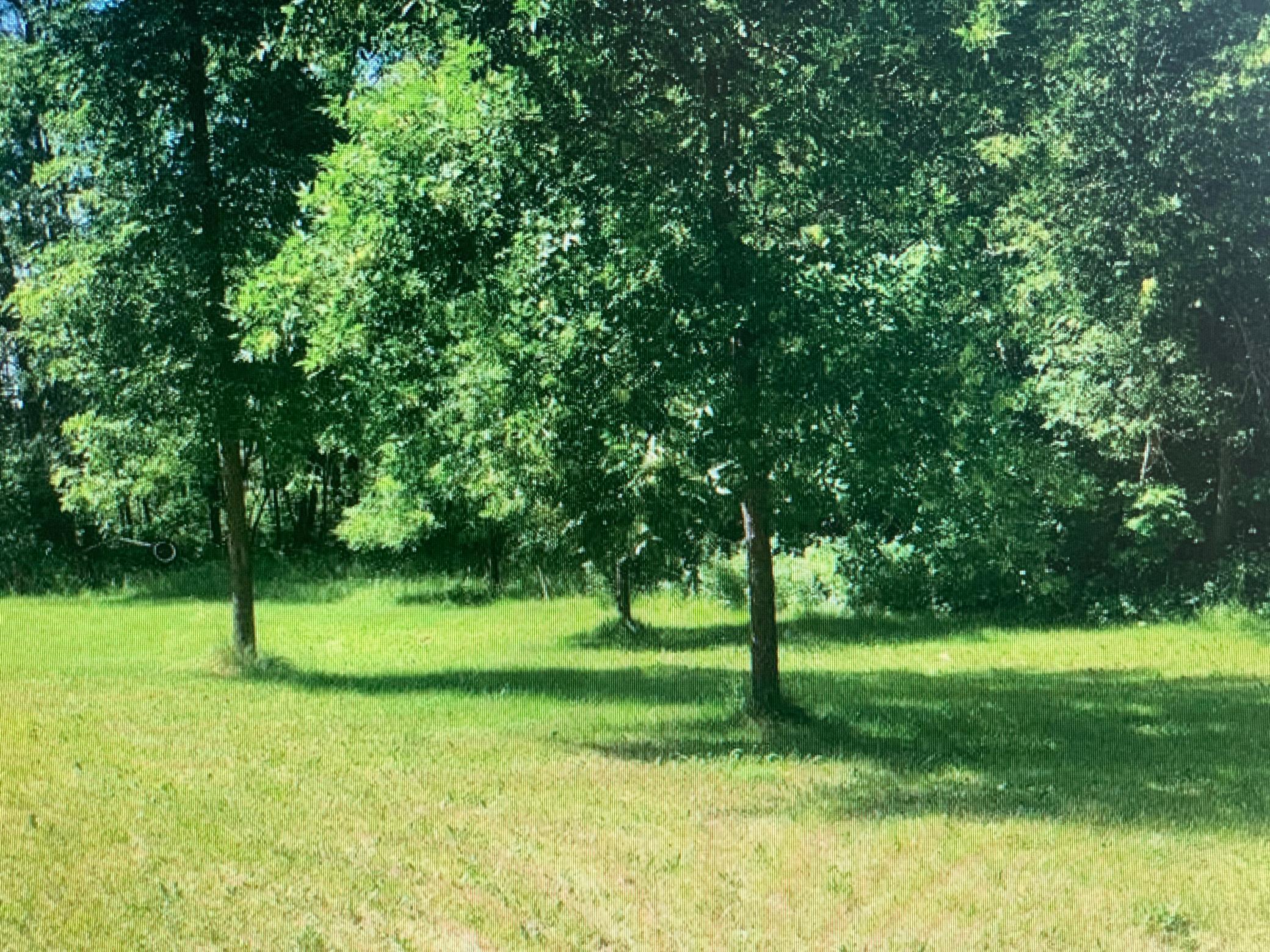 View of Land at TBD 388th, Onamia MN 56359, Onamia (27 of 31) - Mike Wilen | Minnesota Team Real Estate