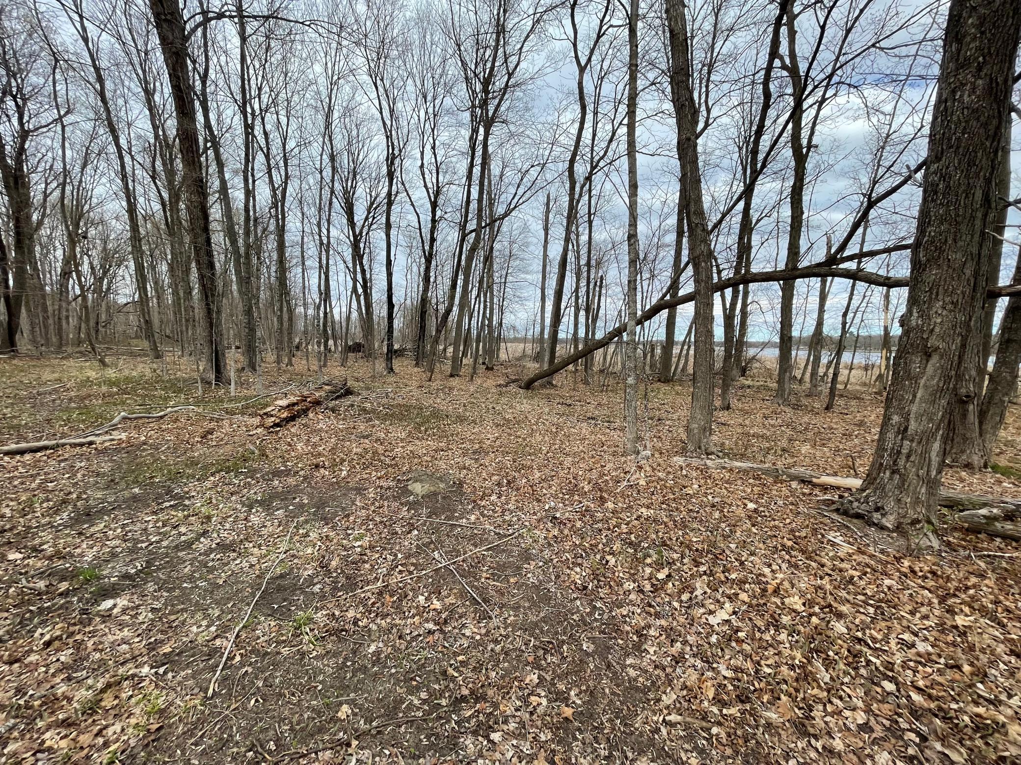 View of Land at TBD 388th, Onamia MN 56359, Onamia (24 of 31) - Mike Wilen | Minnesota Team Real Estate