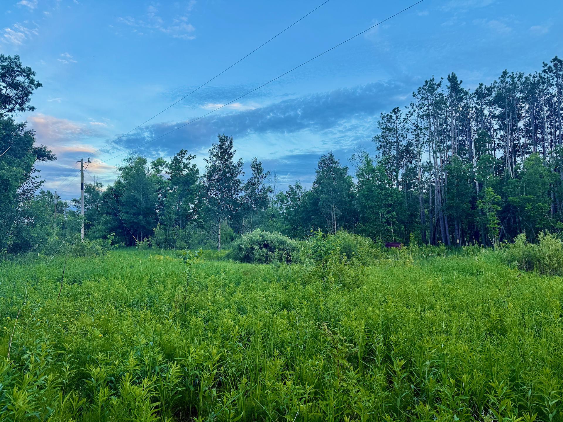 View of Land at 44465 US Hwy 169, Onamia MN 56359, Onamia (17 of 24) - Mike Wilen | Minnesota Team Real Estate