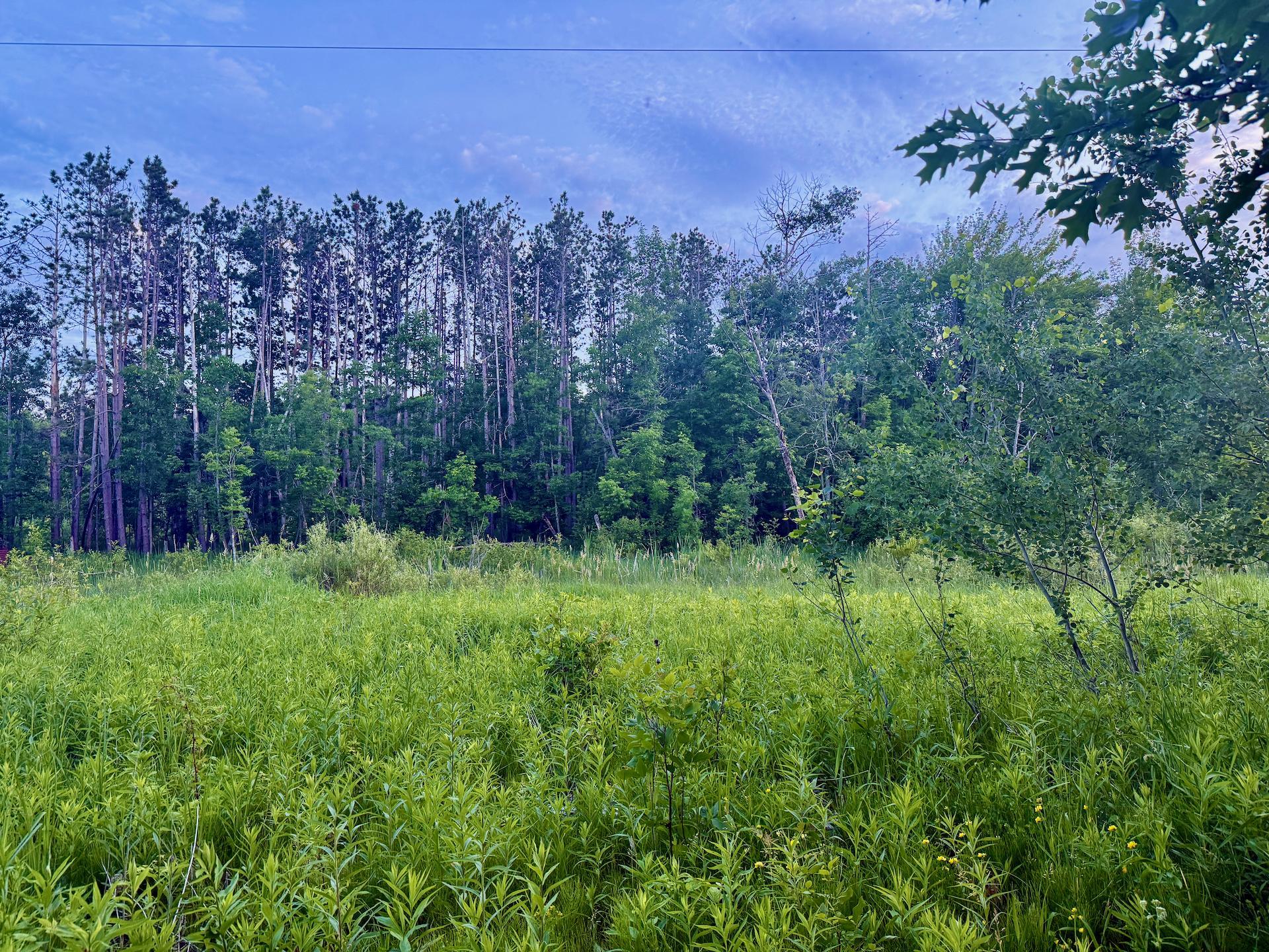 View of Land at 44465 US Hwy 169, Onamia MN 56359, Onamia (16 of 24) - Mike Wilen | Minnesota Team Real Estate