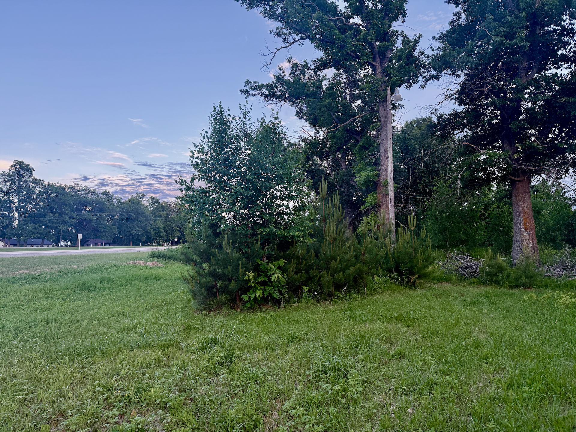 View of Land at 44465 US Hwy 169, Onamia MN 56359, Onamia (13 of 24) - Mike Wilen | Minnesota Team Real Estate